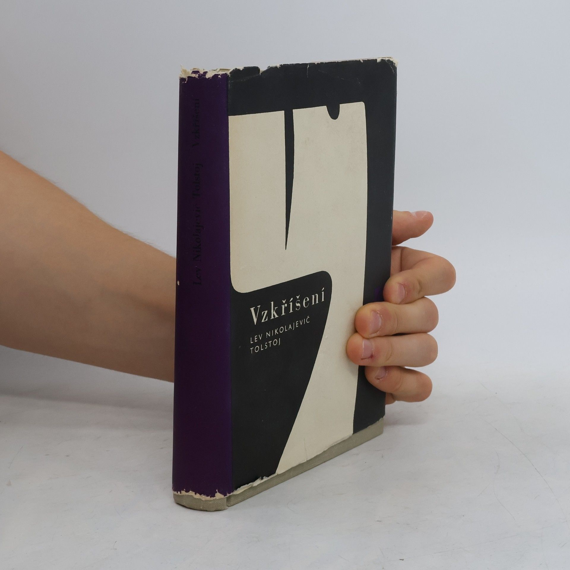 Lew Nikolajewitsch Tolstoi Vzkříšení