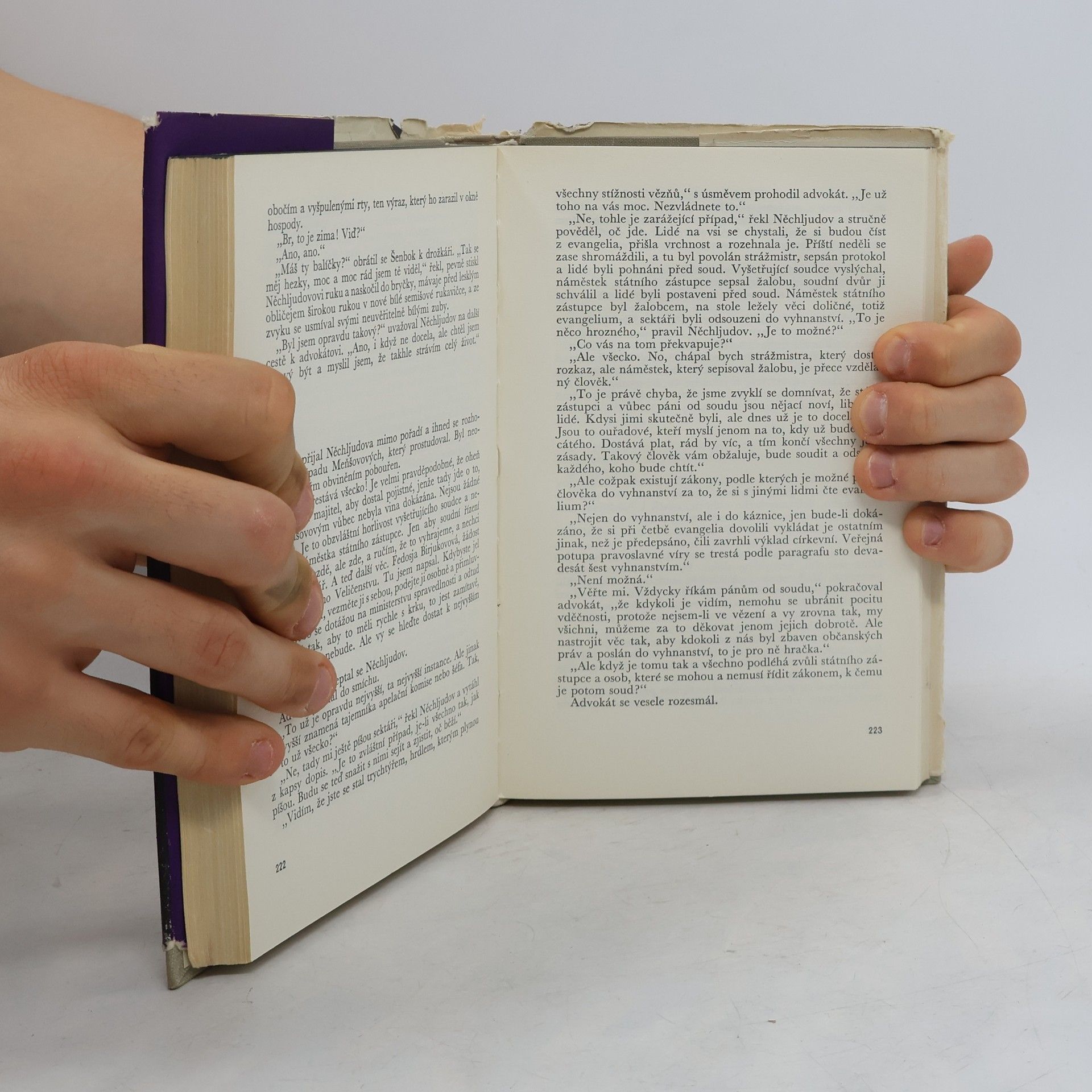 Lew Nikolajewitsch Tolstoi Vzkříšení