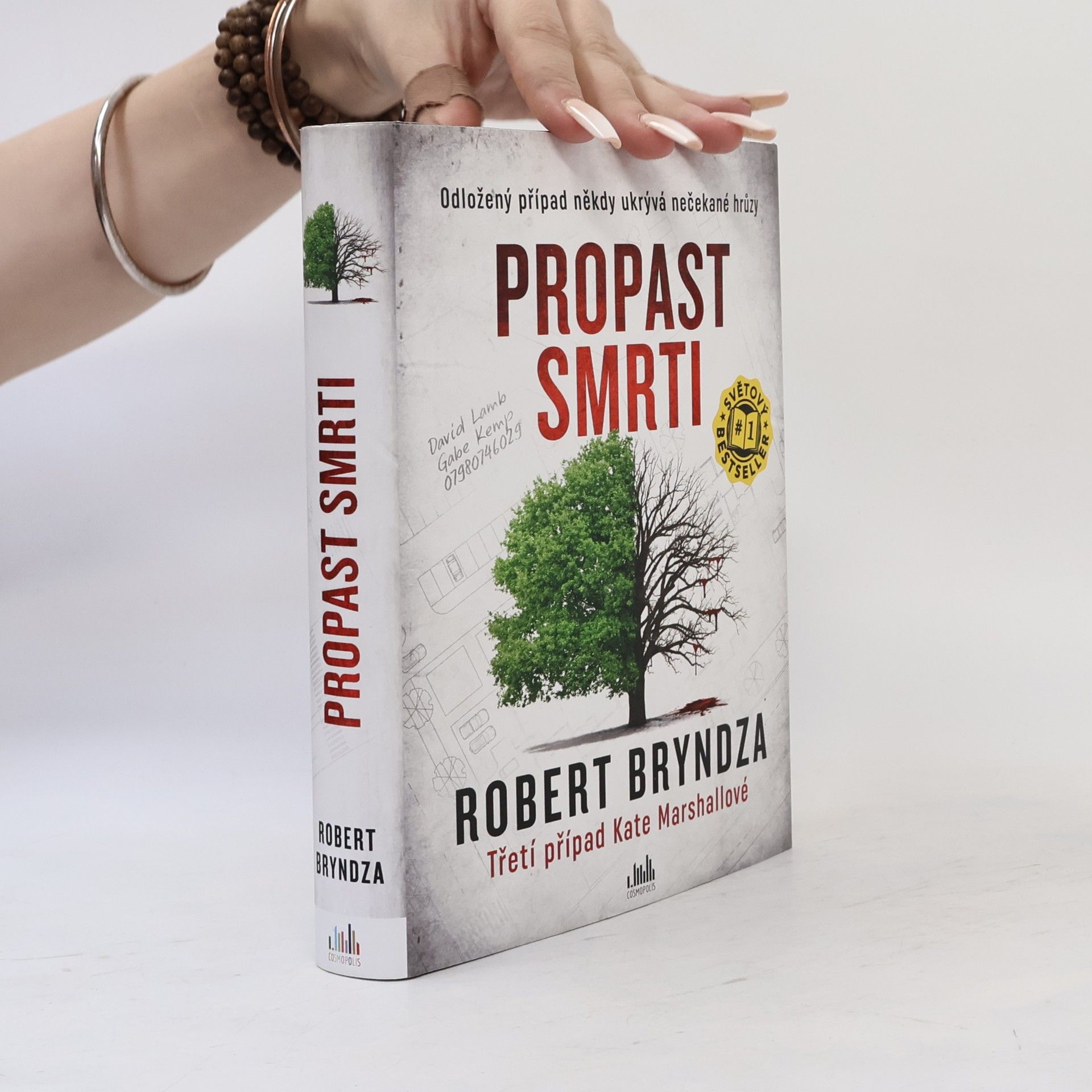 Robert Bryndza Propast smrti