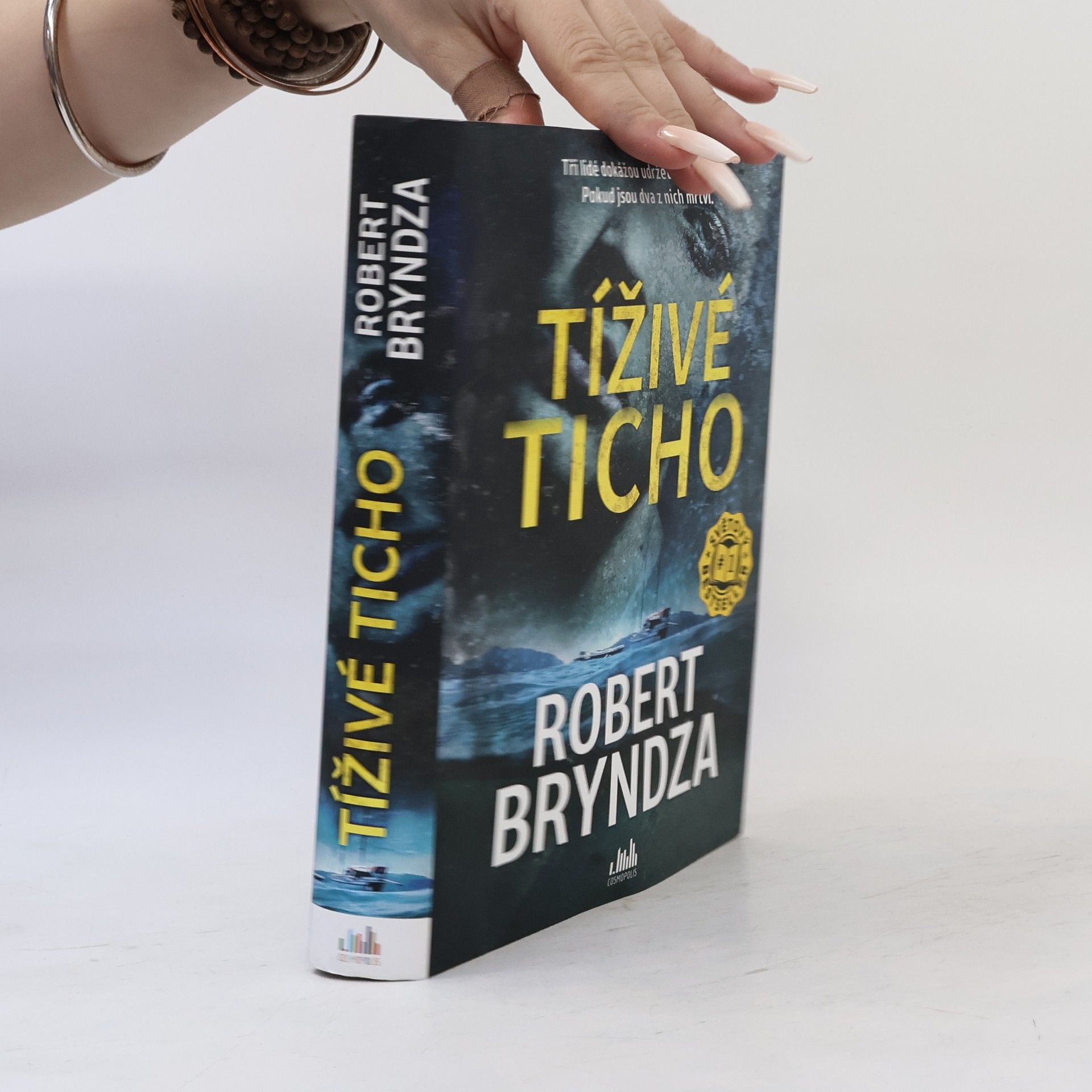 Robert Bryndza Tíživé ticho