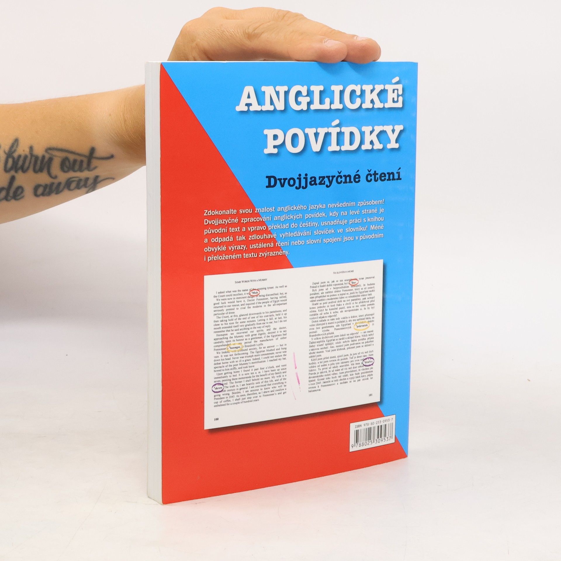 Edgar Allan Poe English Stories. Anglické povídky: Dvojjazyčné čtení