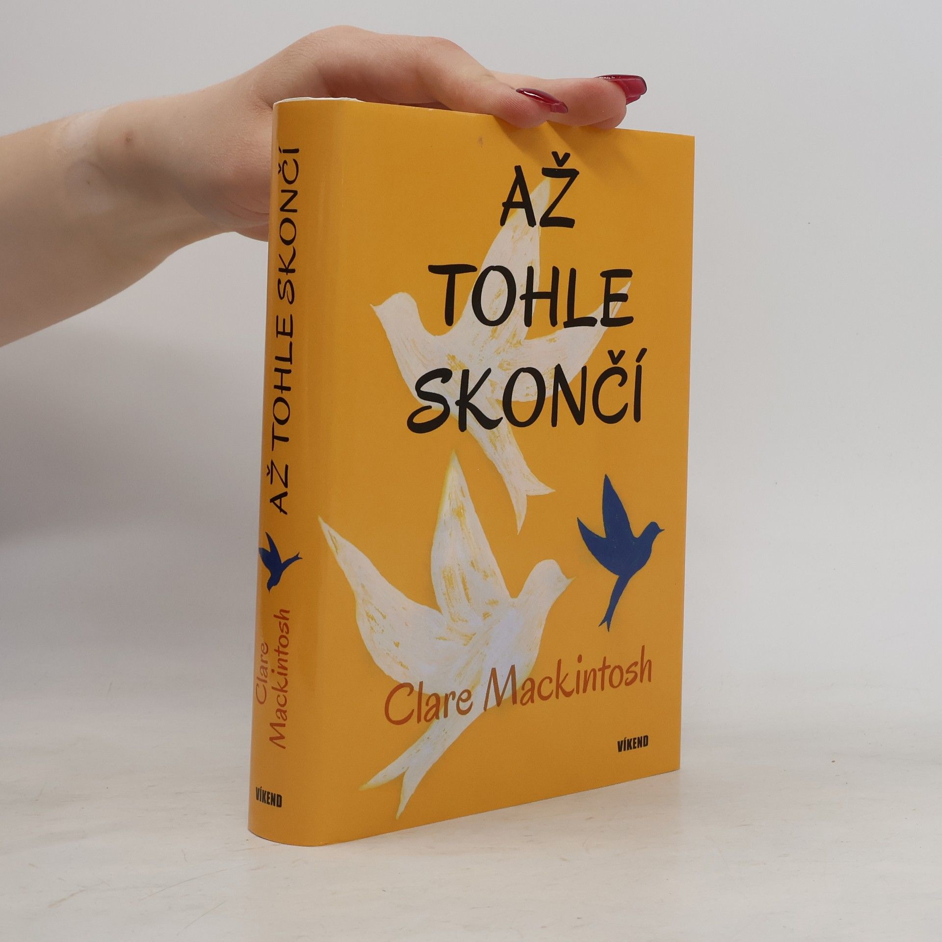 Clare Mackintosh Až tohle skončí