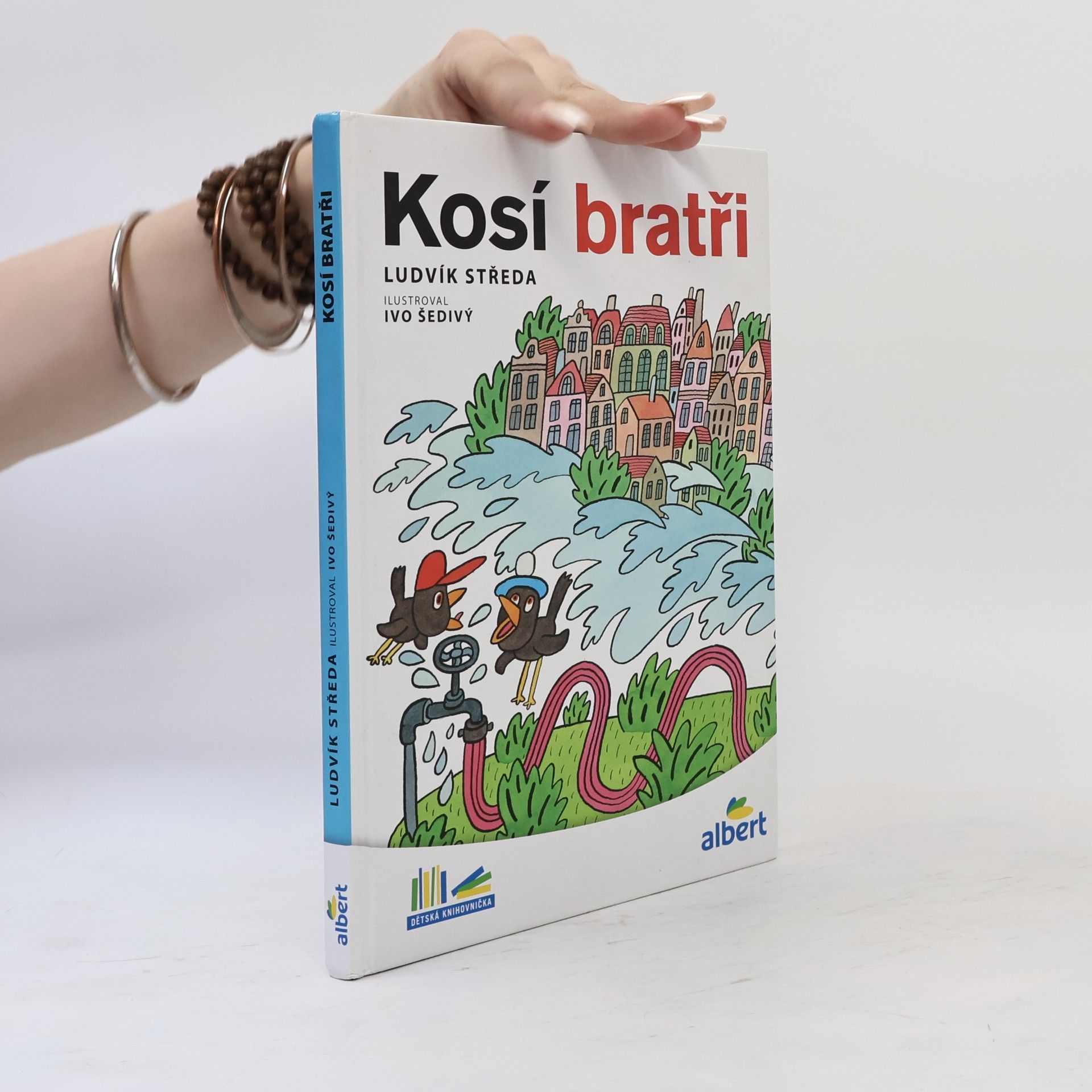 Ludvík Středa Kosí bratři