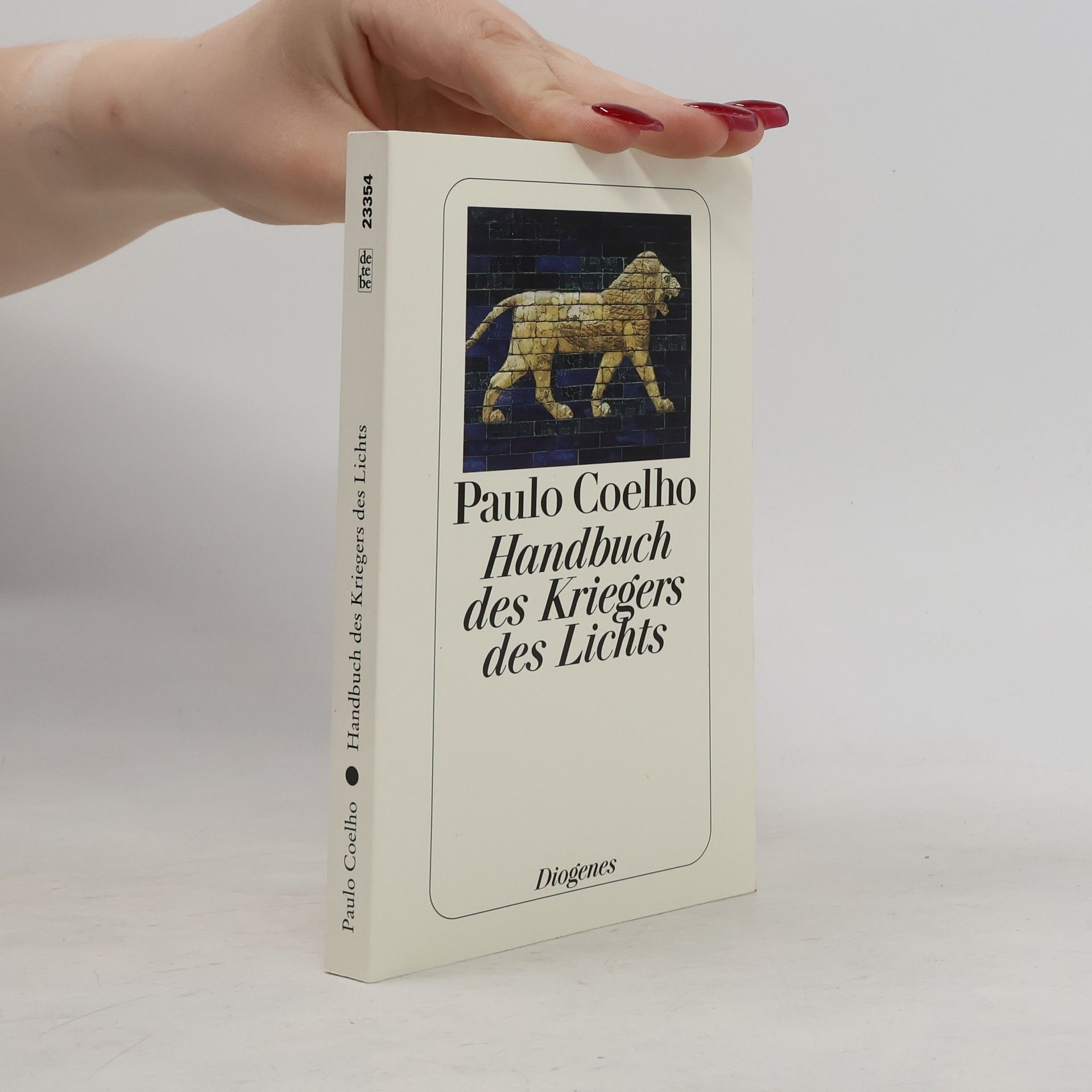 Paulo Coelho Handbuch des Kriegers des Lichts