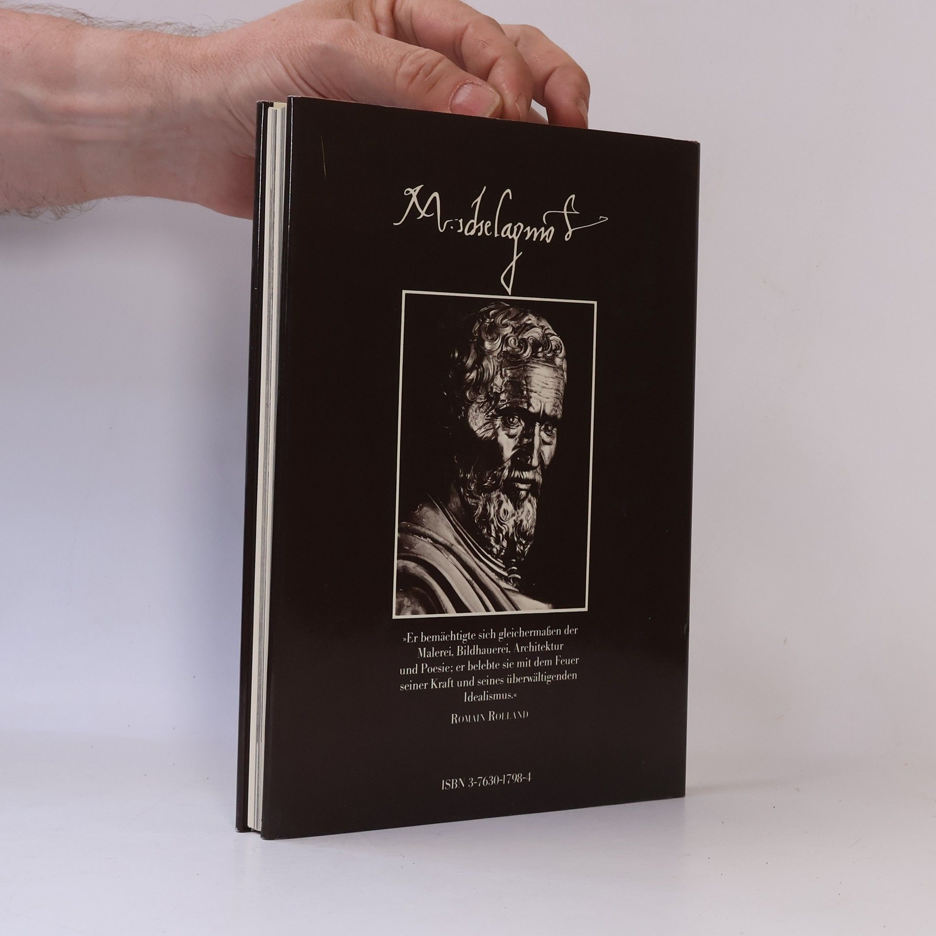 Pierluigi. Maler De Vecchi Michelangelo: Der Maler, Der Bildhauer, Der Architekt