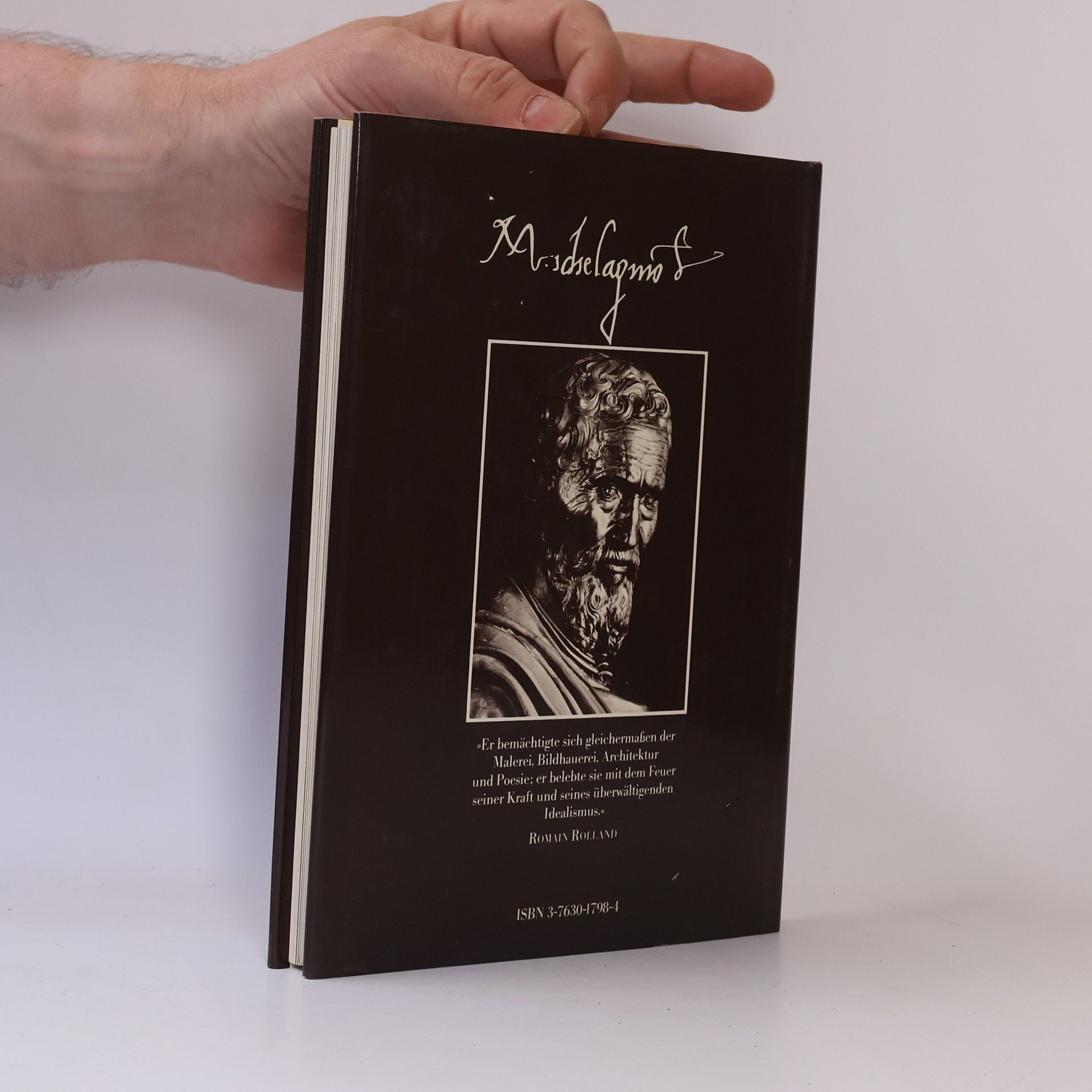 Pierluigi. Maler De Vecchi Michelangelo: Der Maler, Der Bildhauer, Der Architekt