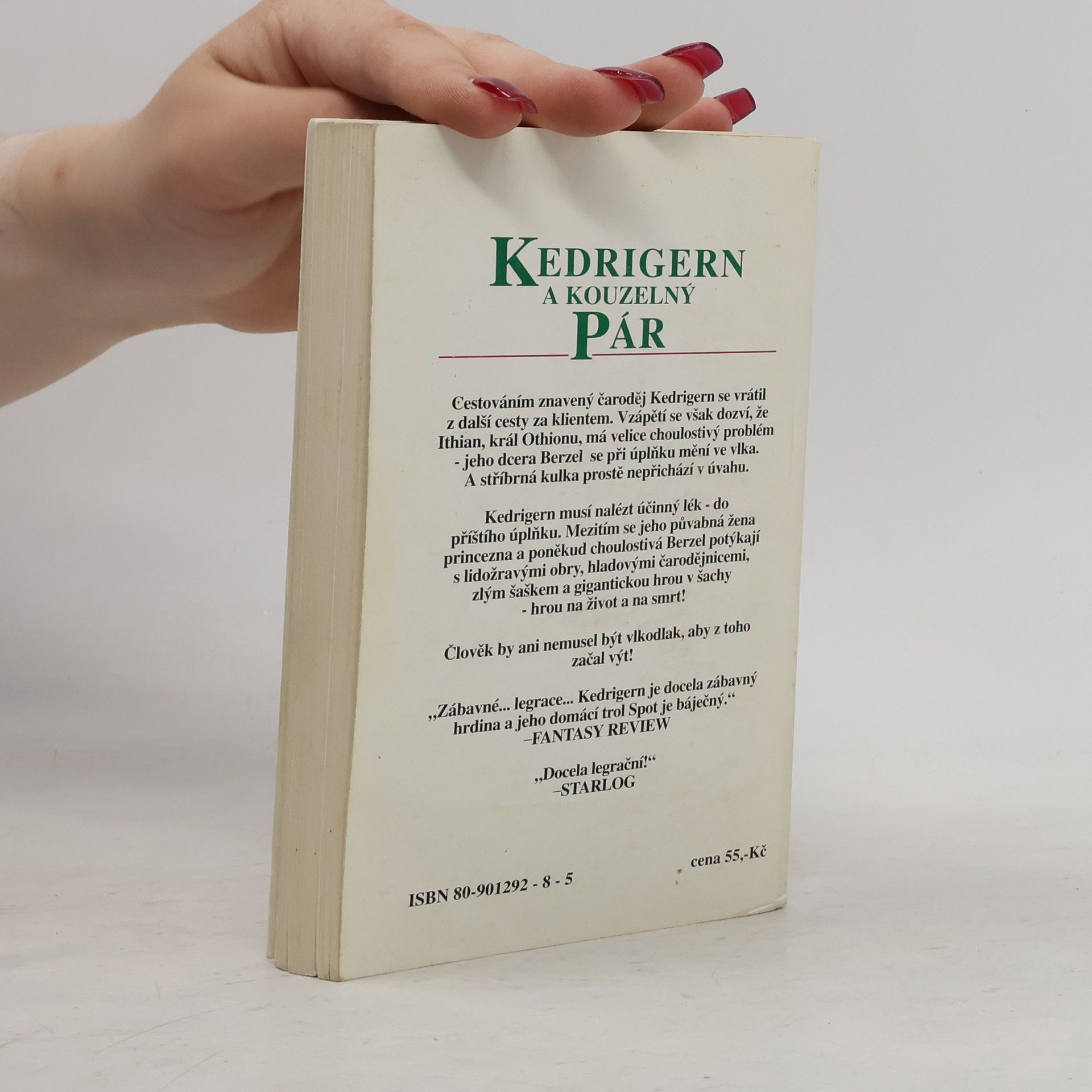 John Morressy Kedrigern a kouzelný pár
