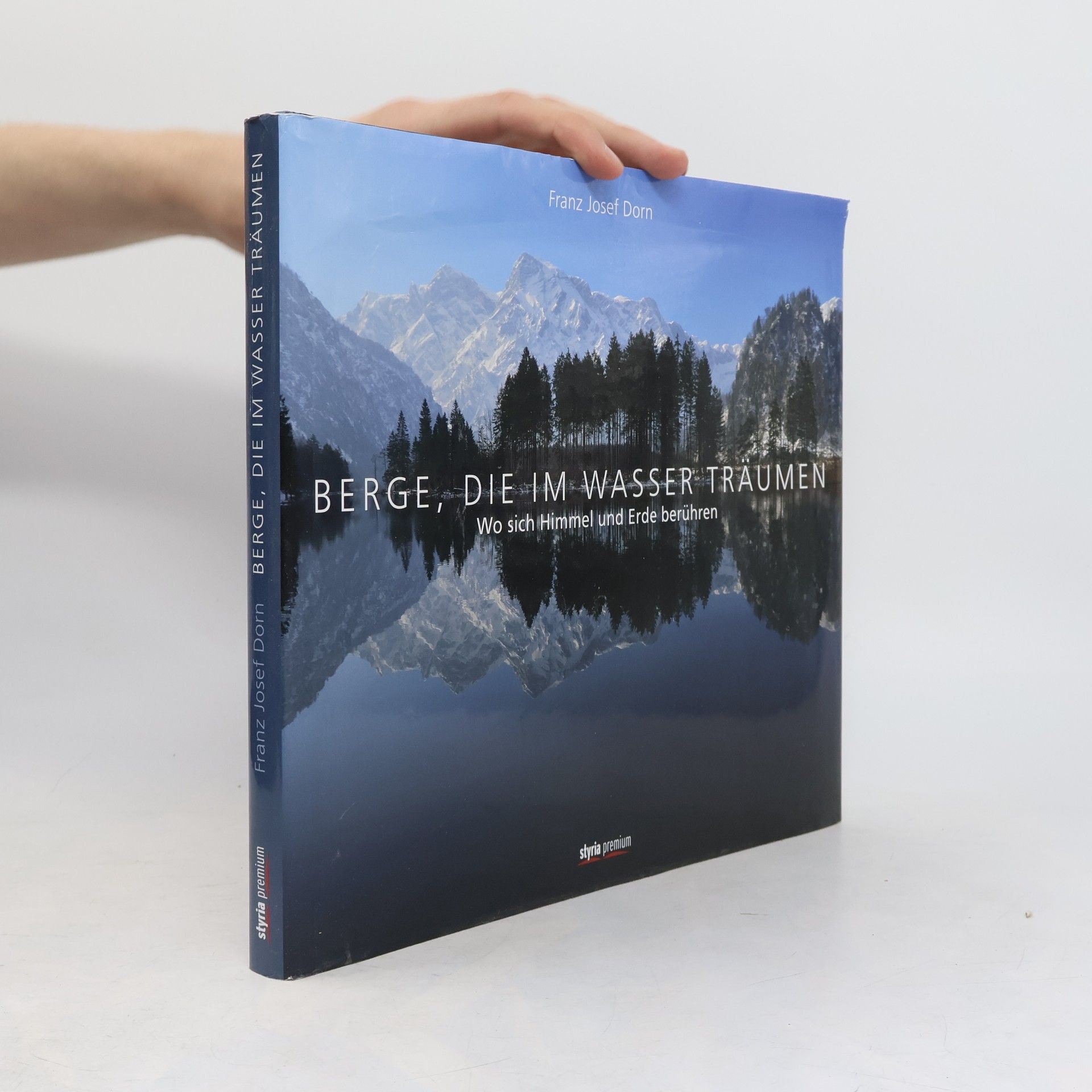 Berge, die im Wasser träumen