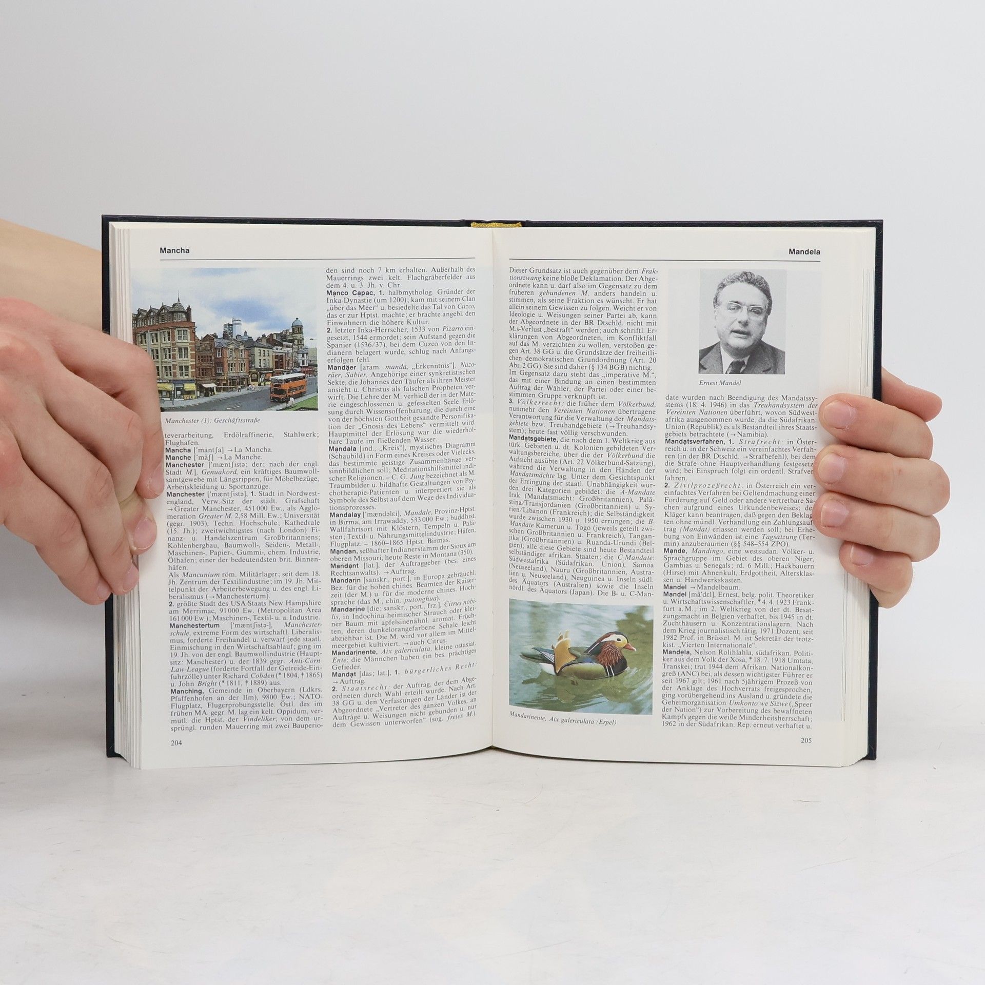 Autorenkollektiv Bertelsmann Universal Lexikon 11. Lev-Mes