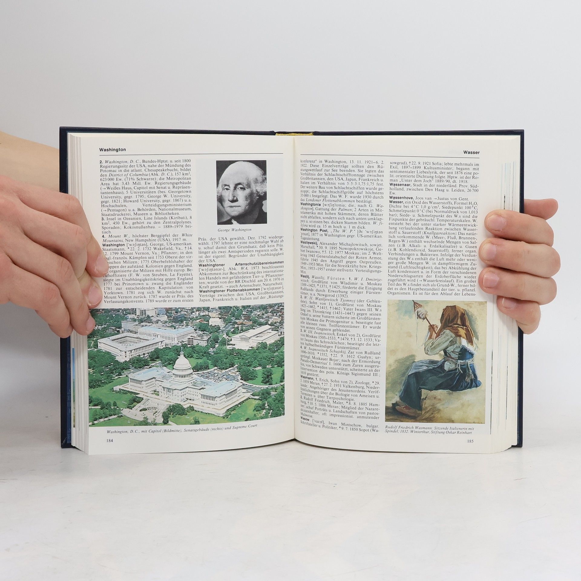 Kolektiv autorů Bertelsmann Universal Lexikon 19. Verl-Wog