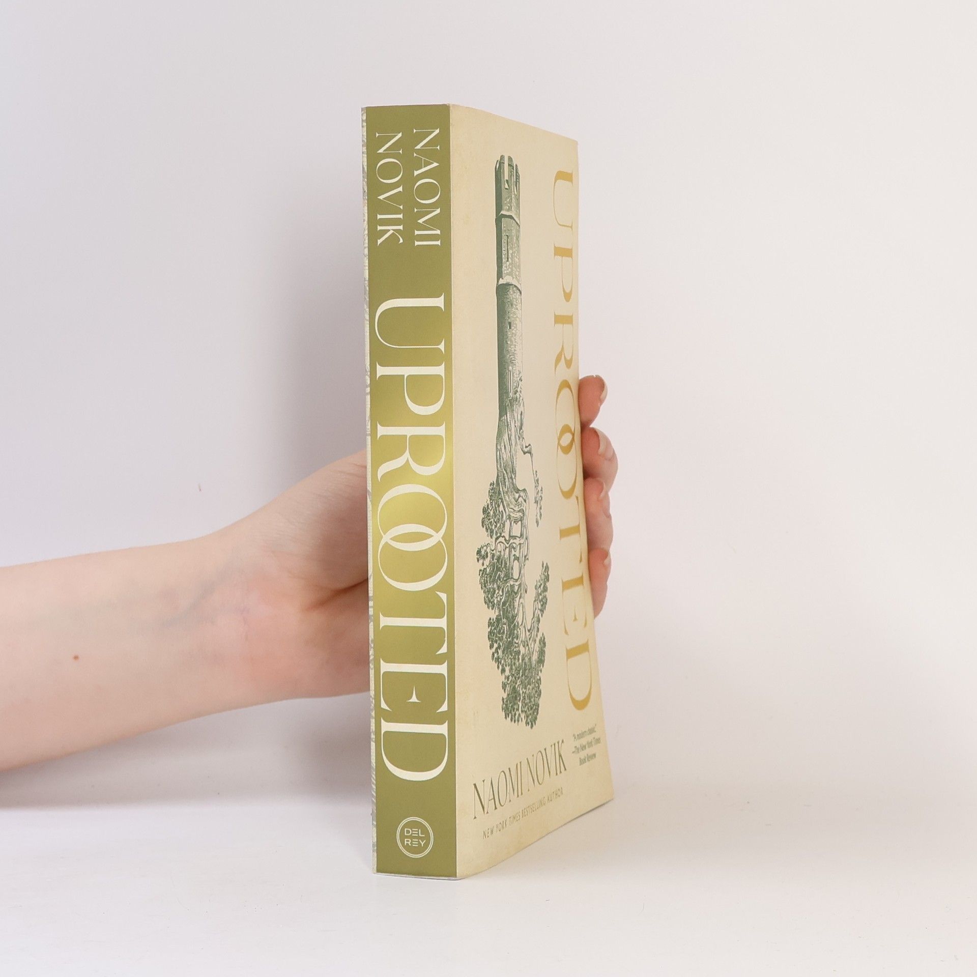 Naomi Novik Uprooted