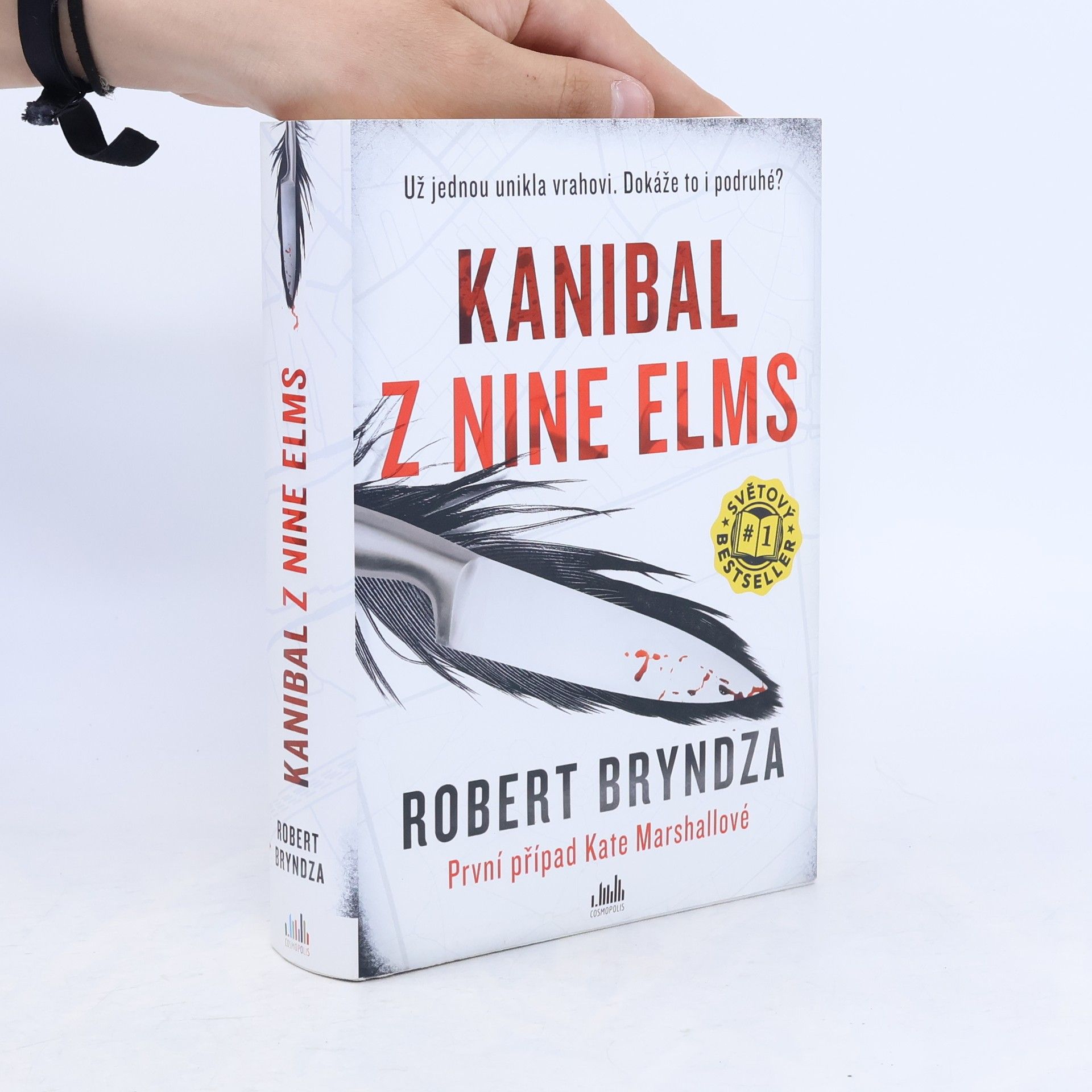 Robert Bryndza Kanibal z Nine Elms