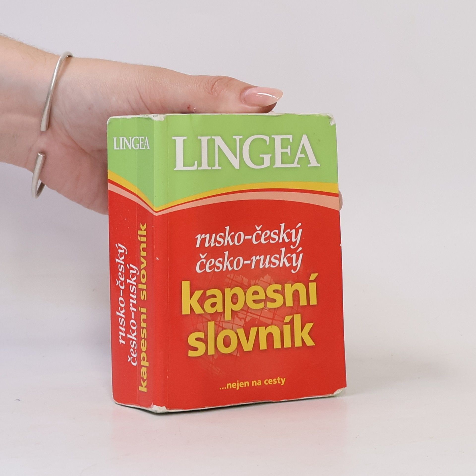 Autorenkollektiv Rusko-český, česko-ruský kapesní slovník