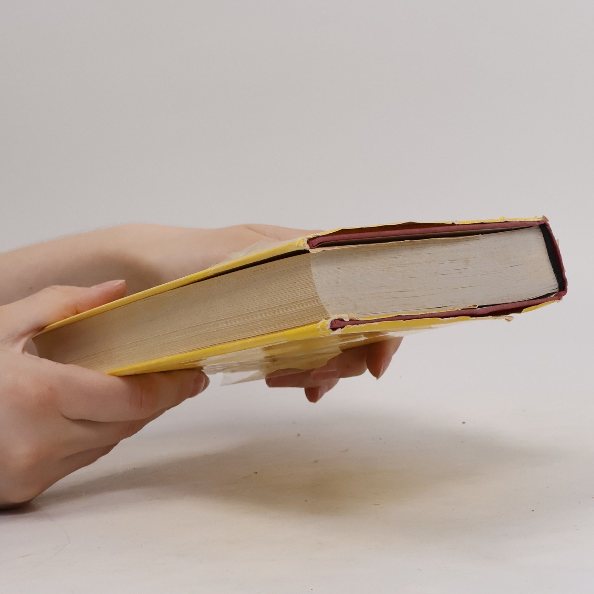 Eugen F. Kuri Das grosse Fremdwörterbuch