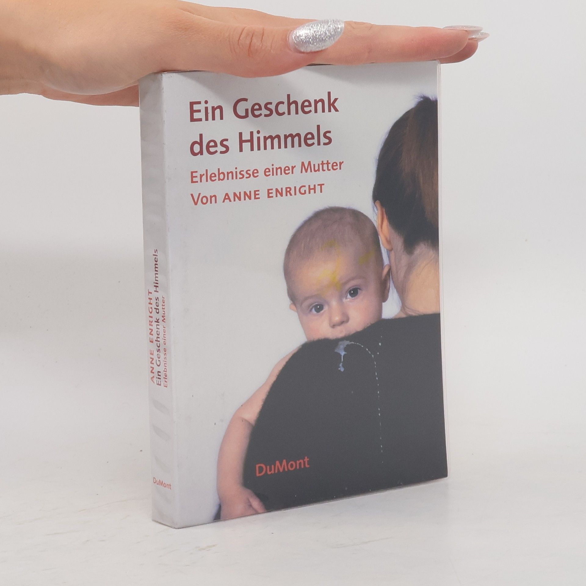 Anne Enright Ein Geschenk des Himmels