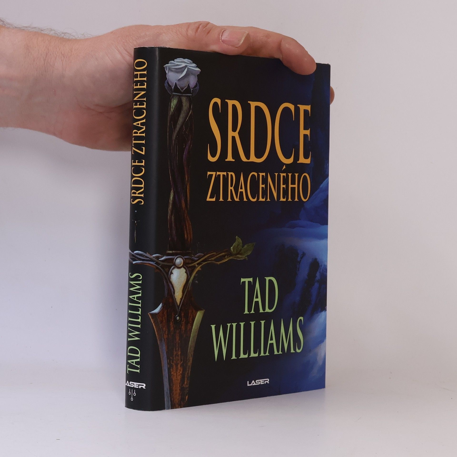Tad Williams Srdce ztraceného