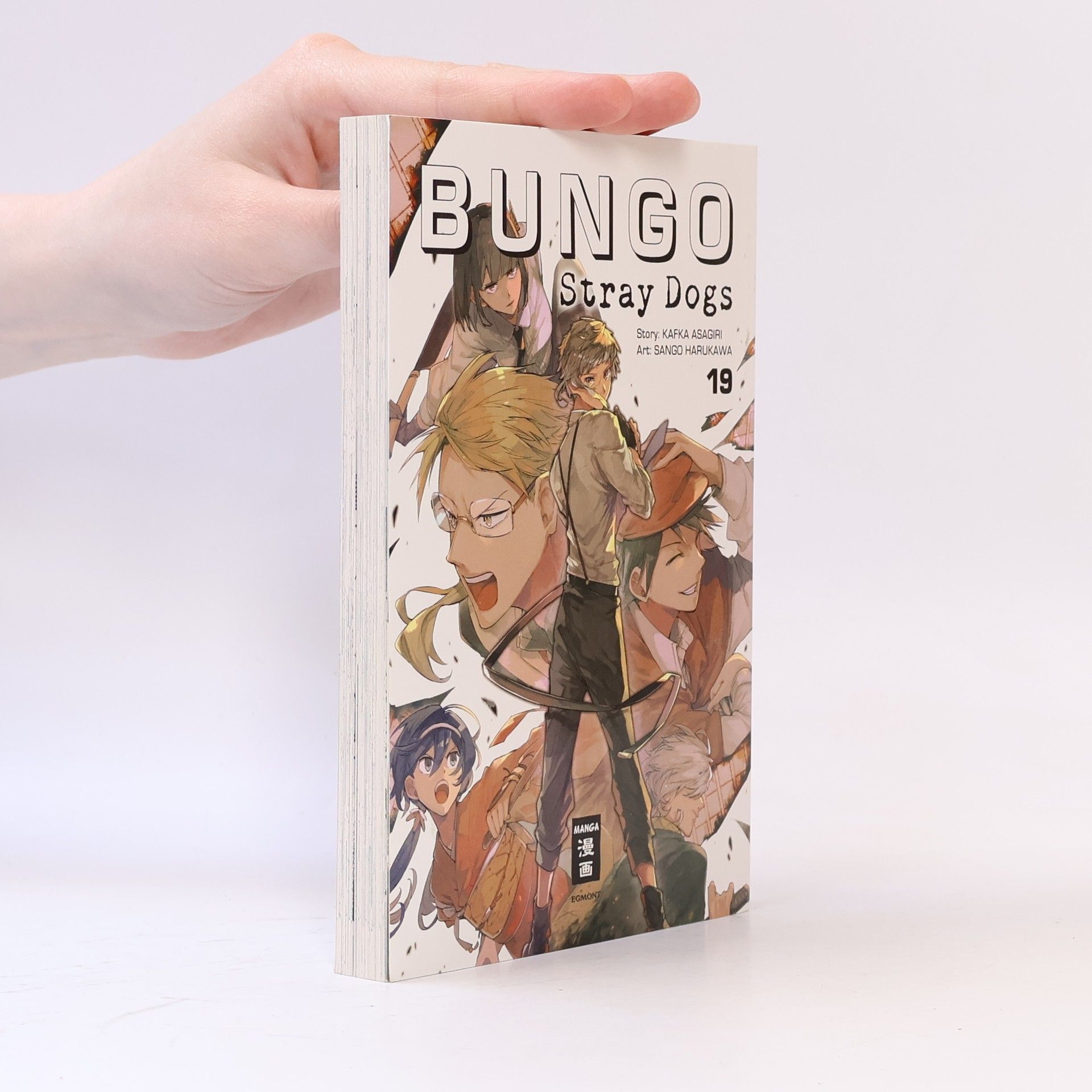 Sango Harukawa Bungo Stray Dogs 19