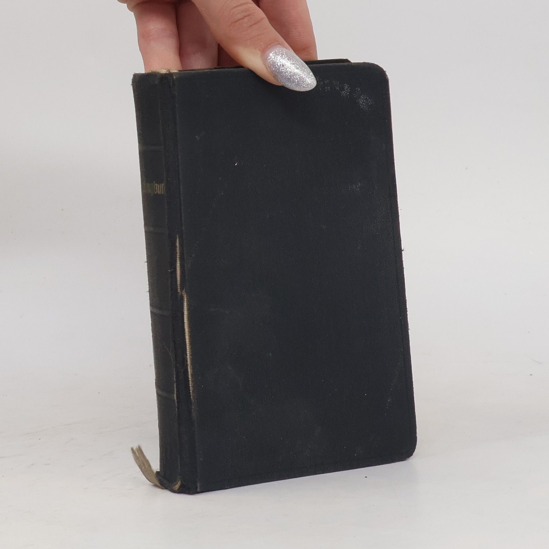 Kolektiv autorů Evangelisches Kirchengesangbuch