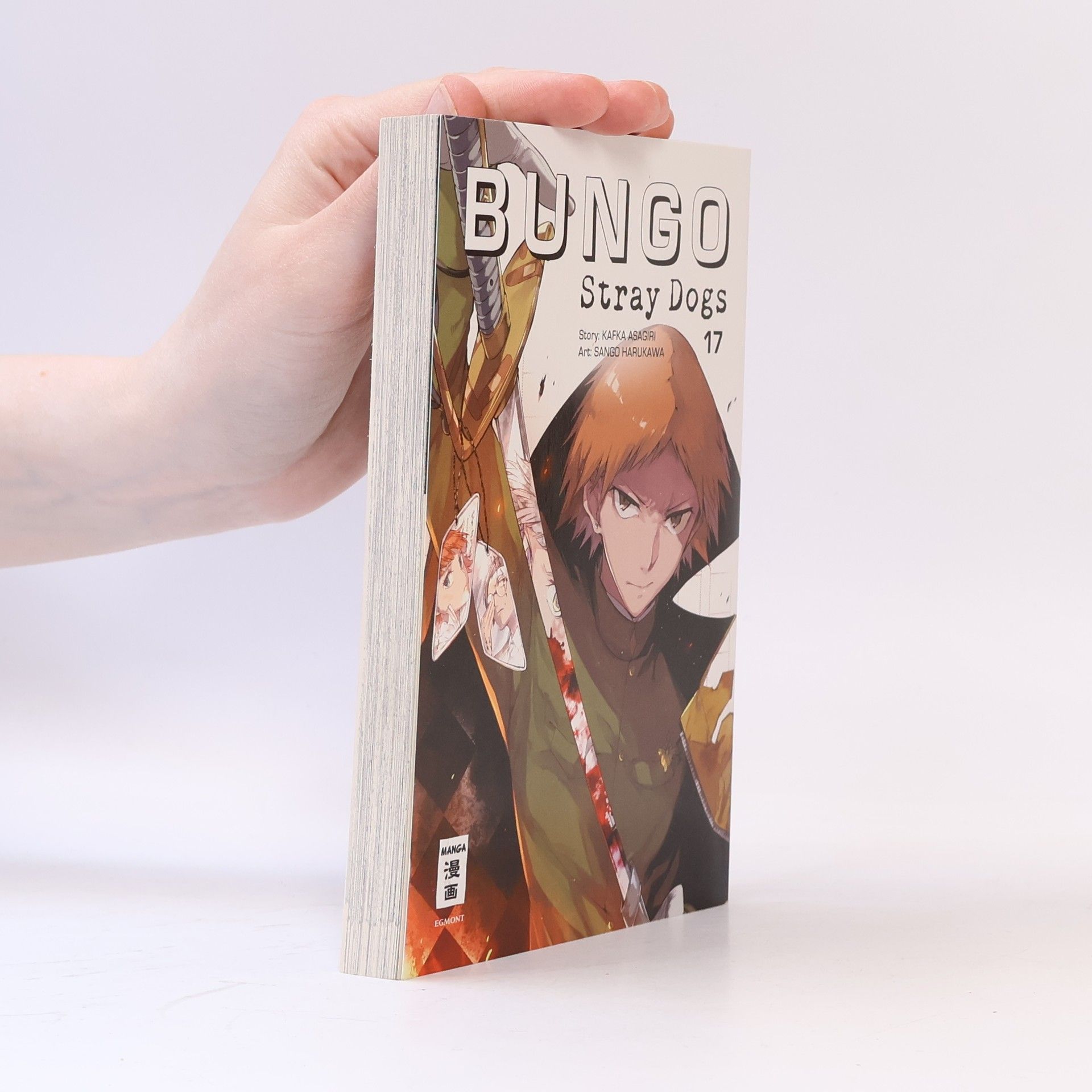 Sango Harukawa Bungo Stray Dogs 17