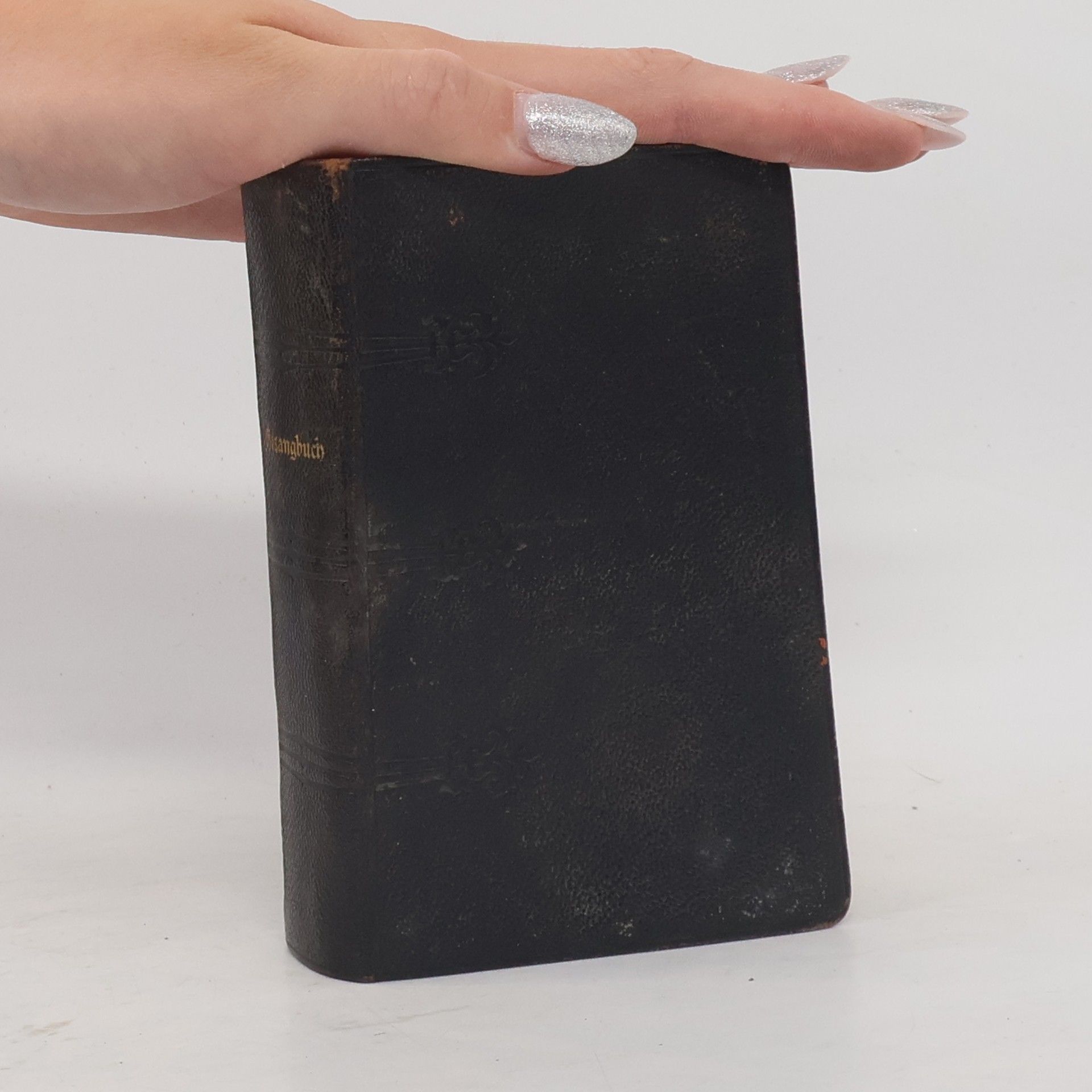 Kolektiv autorů Gesangbuch für die evangelische Kirche