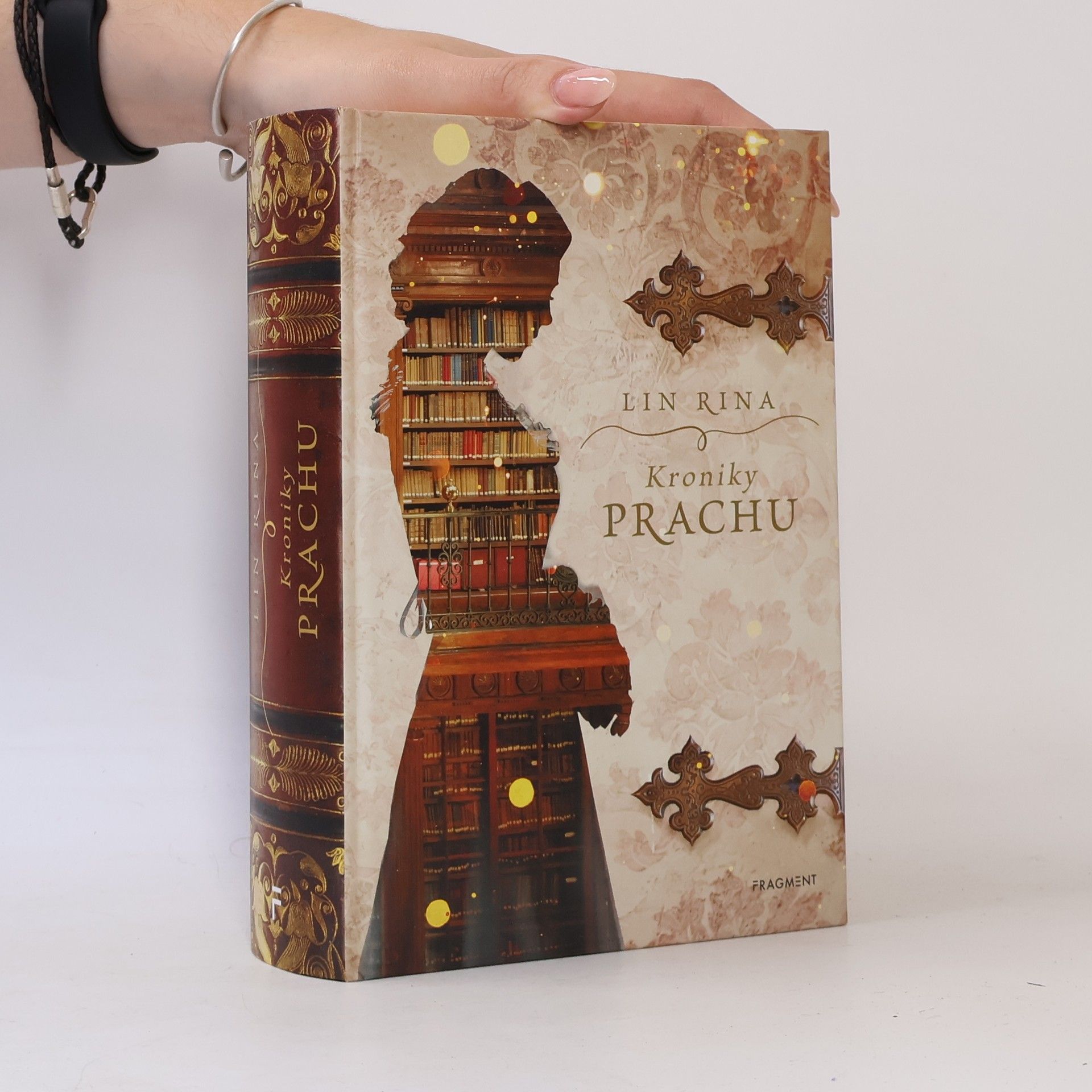 Lin Rina Kroniky prachu