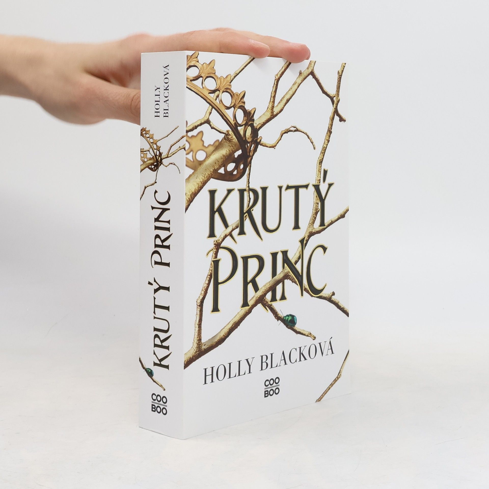 Holly Black Krutý princ