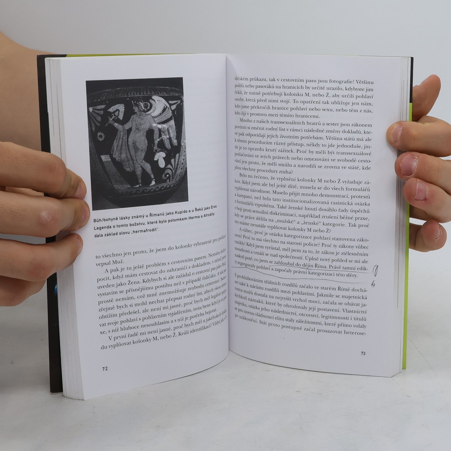 Leslie Feinberg Pohlavní štvanci