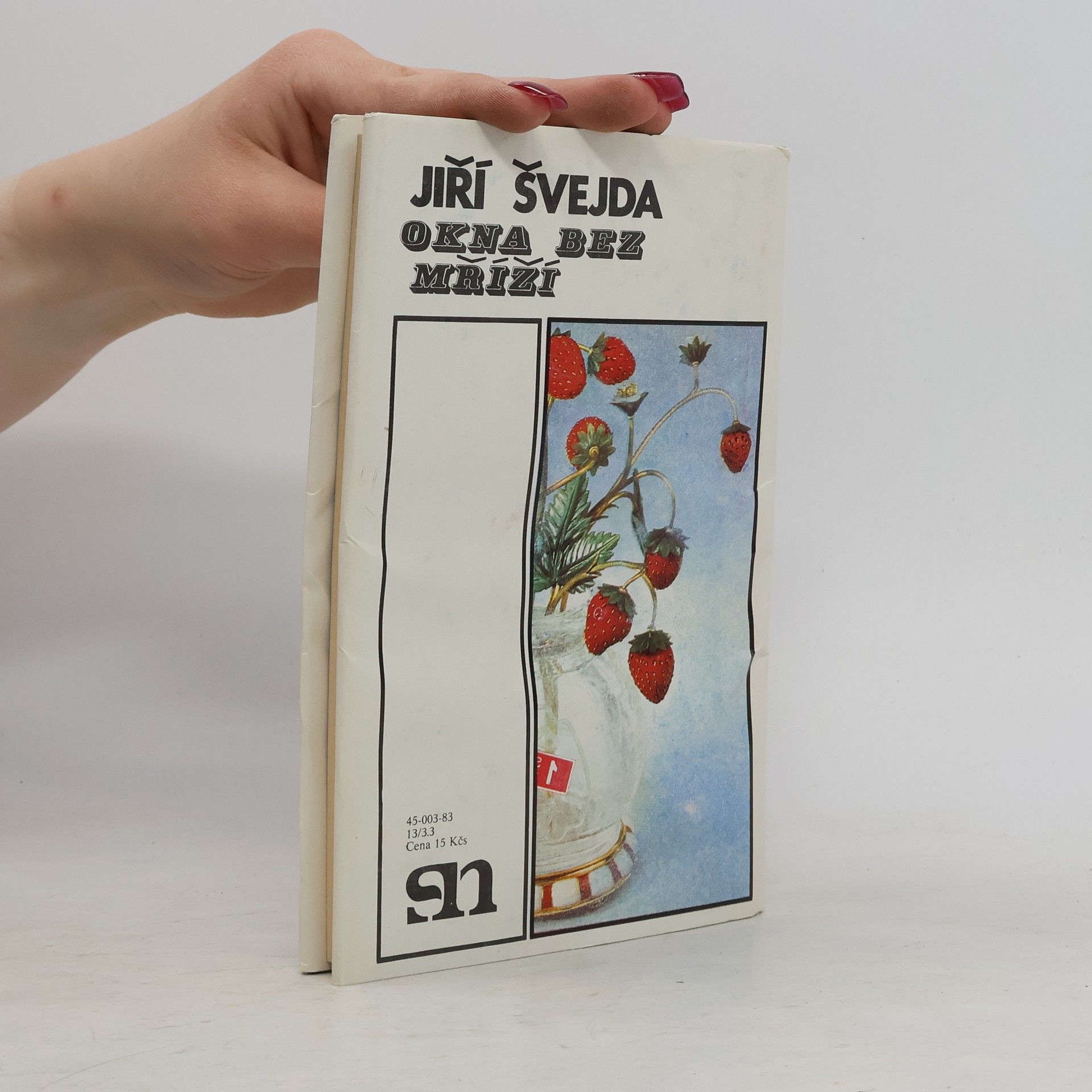 Jiří Švejda Okna bez mříží