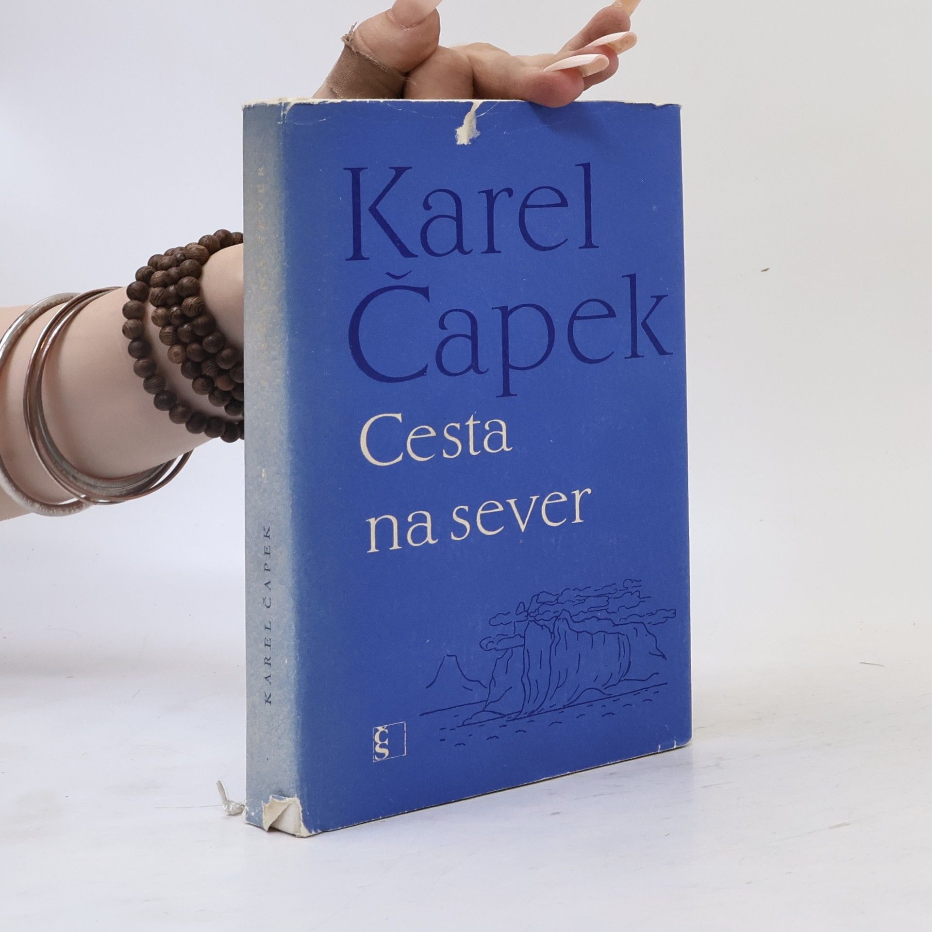 Karel Čapek Cesta na sever