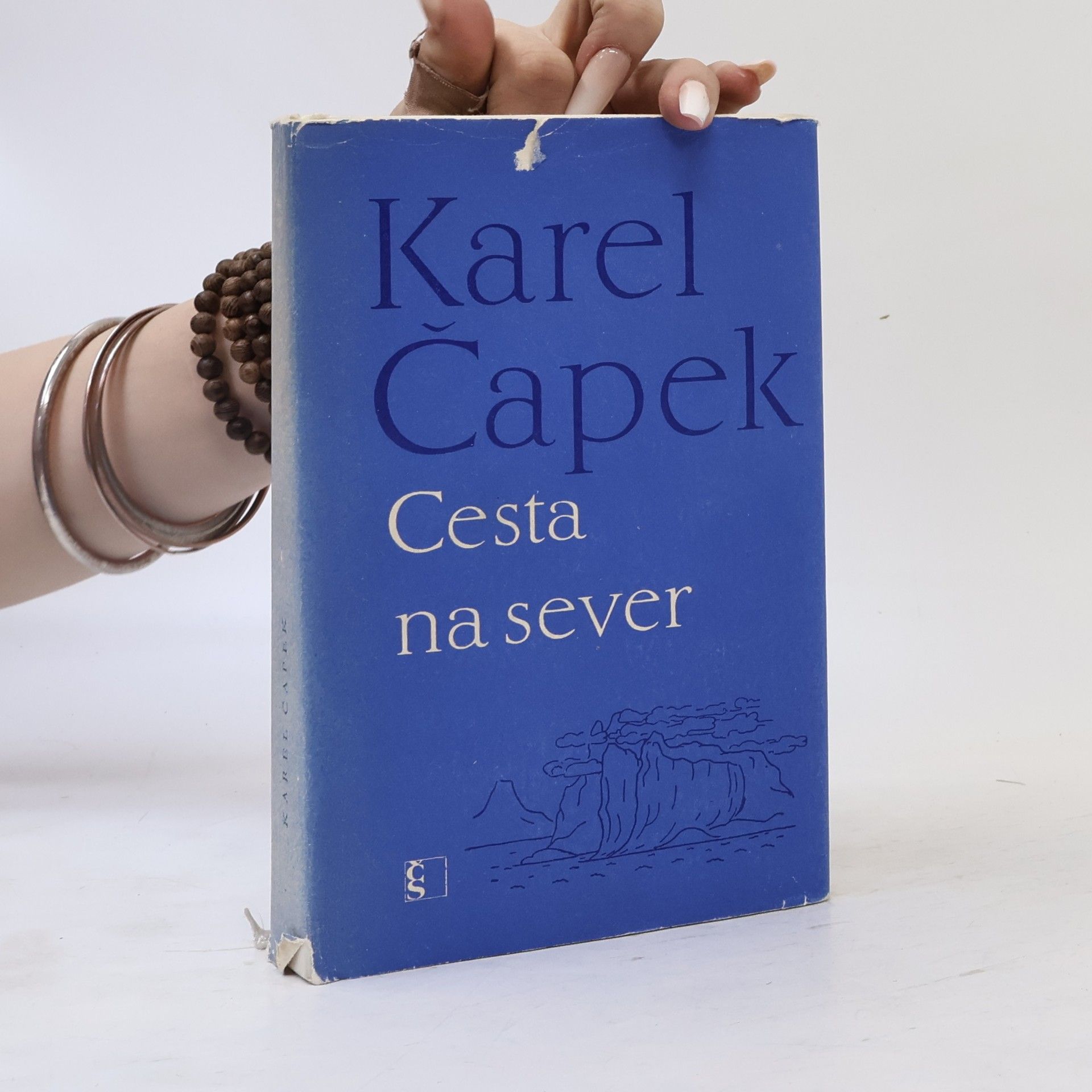 Karel Čapek Cesta na sever