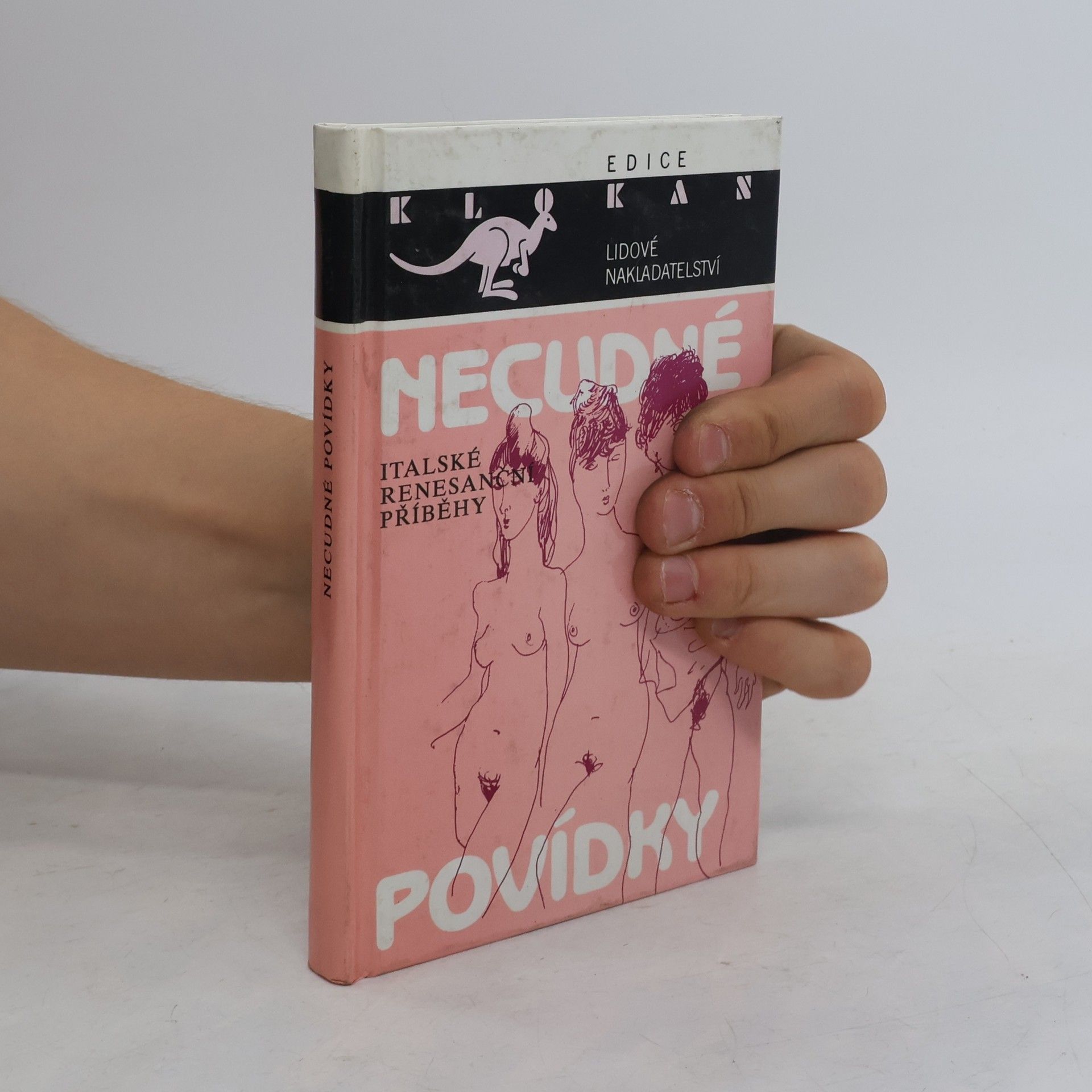 Necudné povídky : italské renesanční příběhy