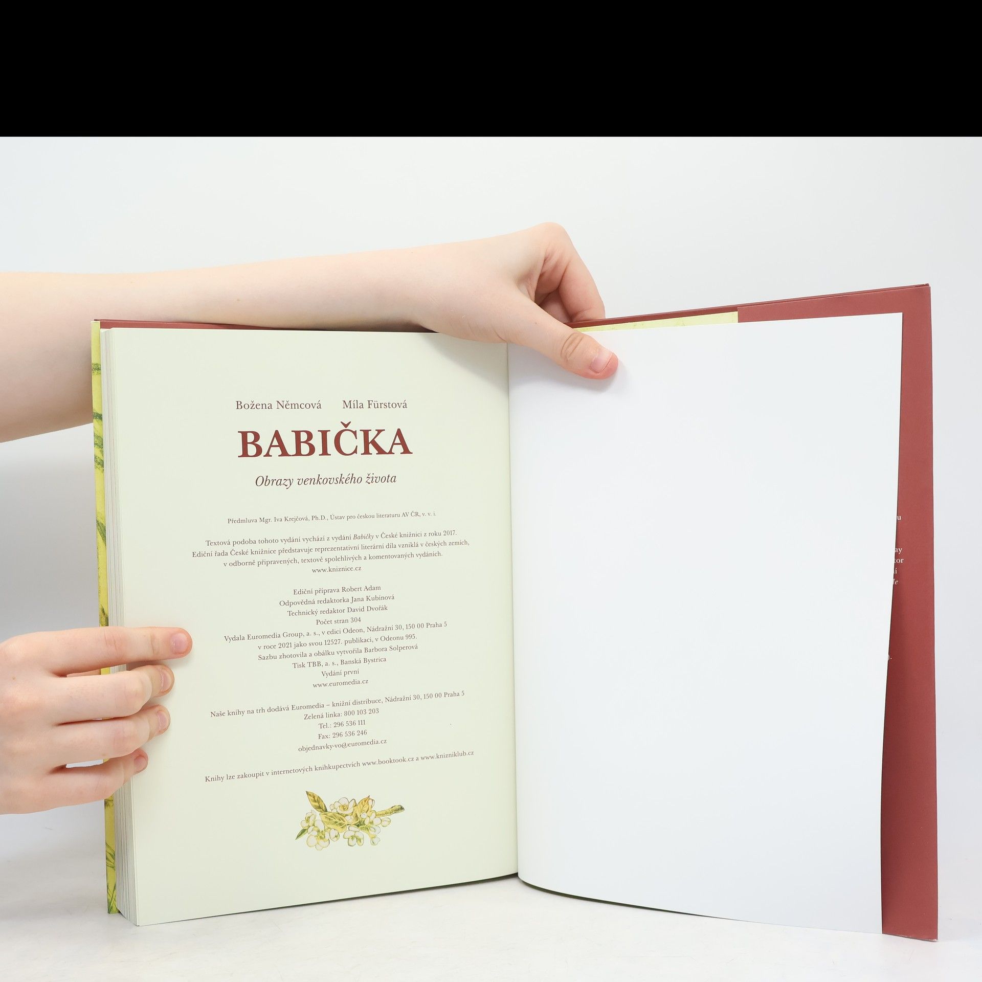 Božena Němcová Babička