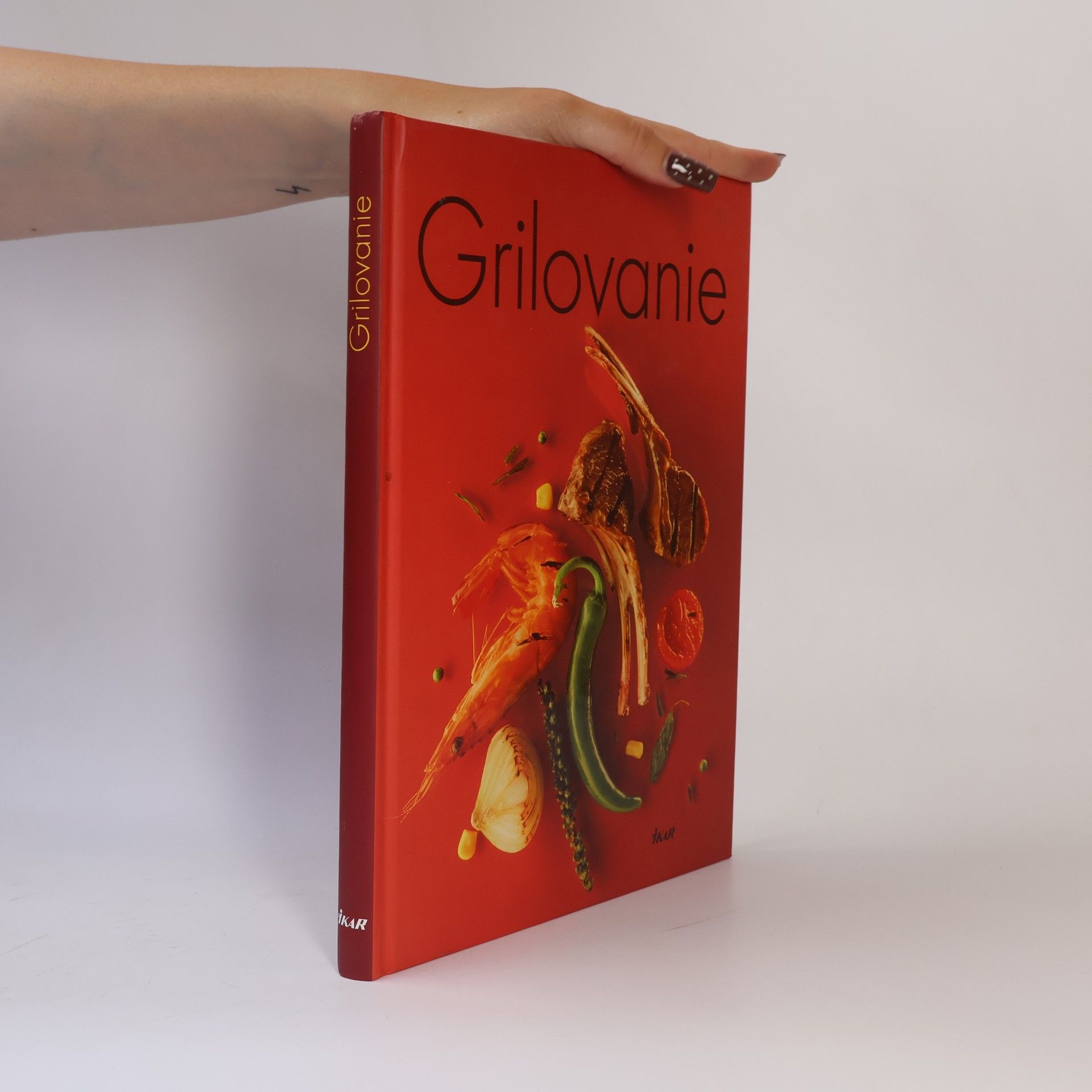 Autorenkollektiv Grilovanie