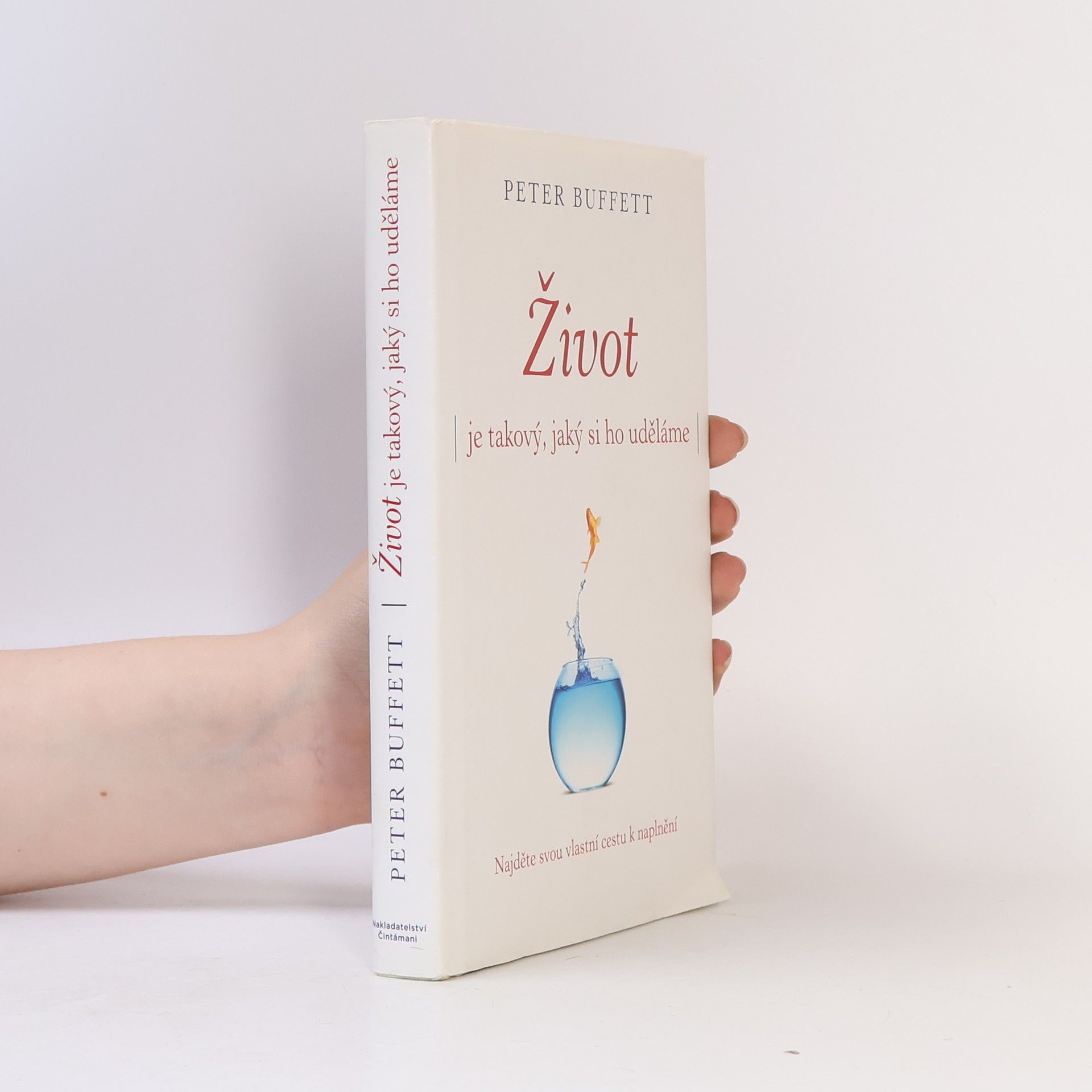 Peter Buffett Život je takový, jaký si ho uděláme