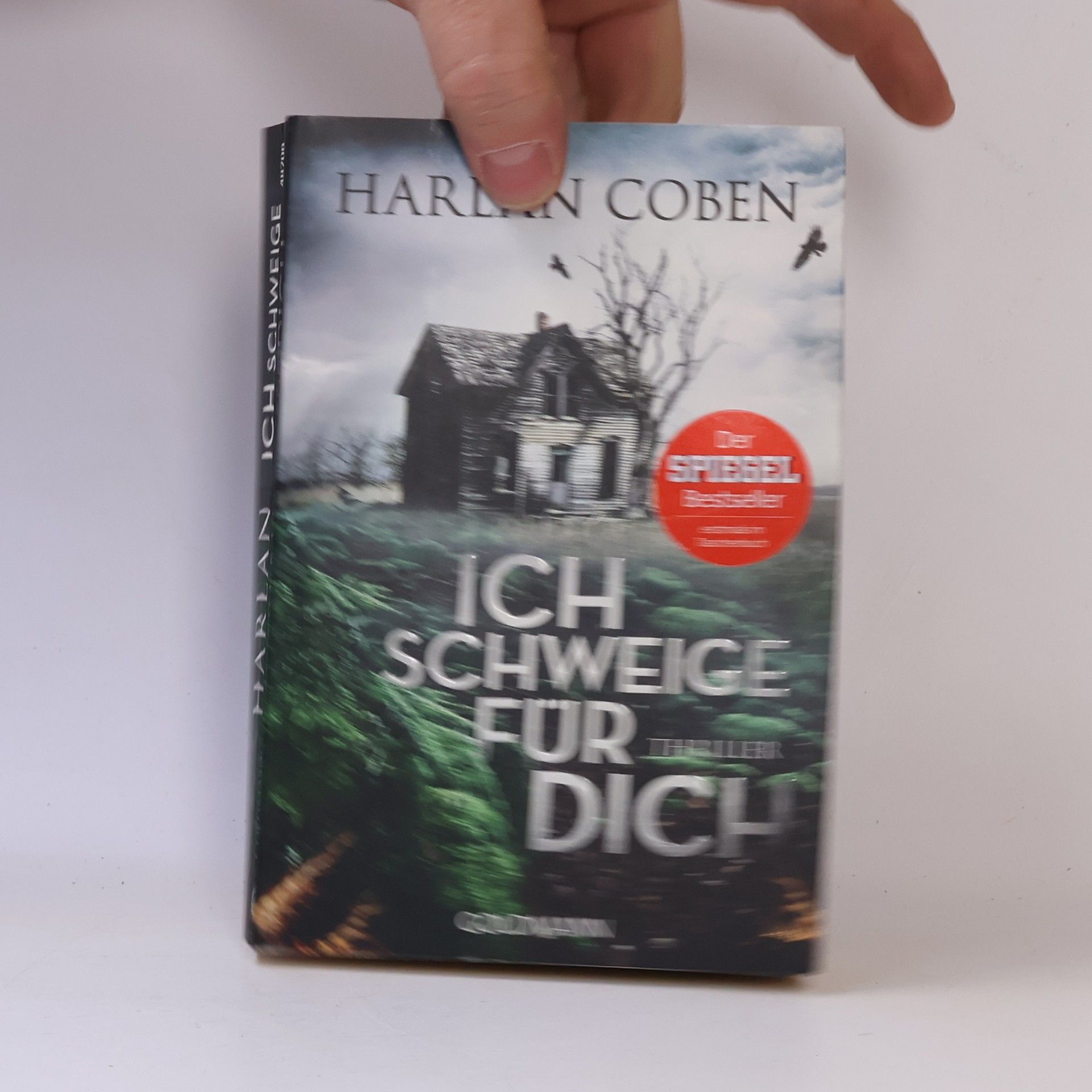 Harlan Coben Ich schweige für dich