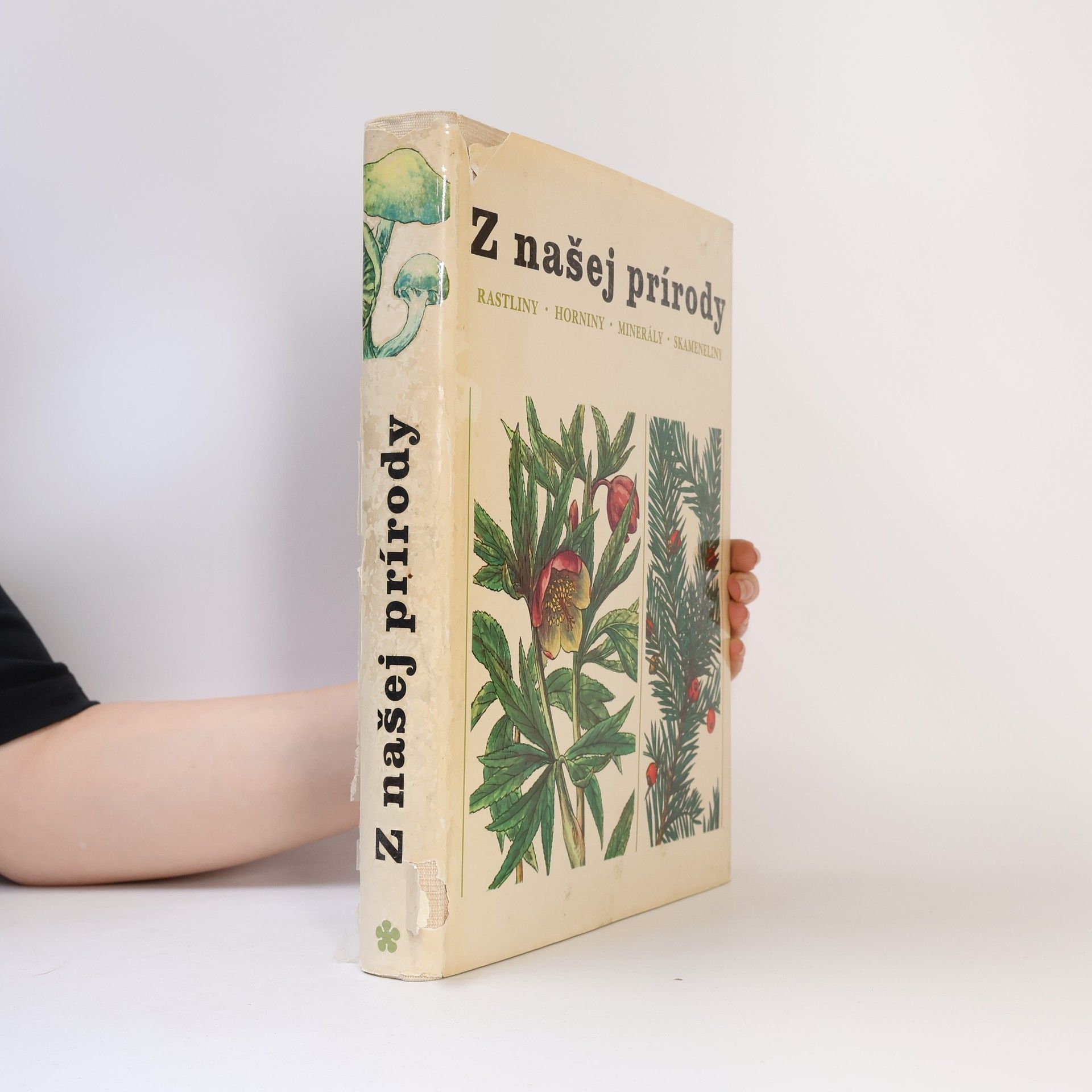 Jindřich Krejča Z našej prírody