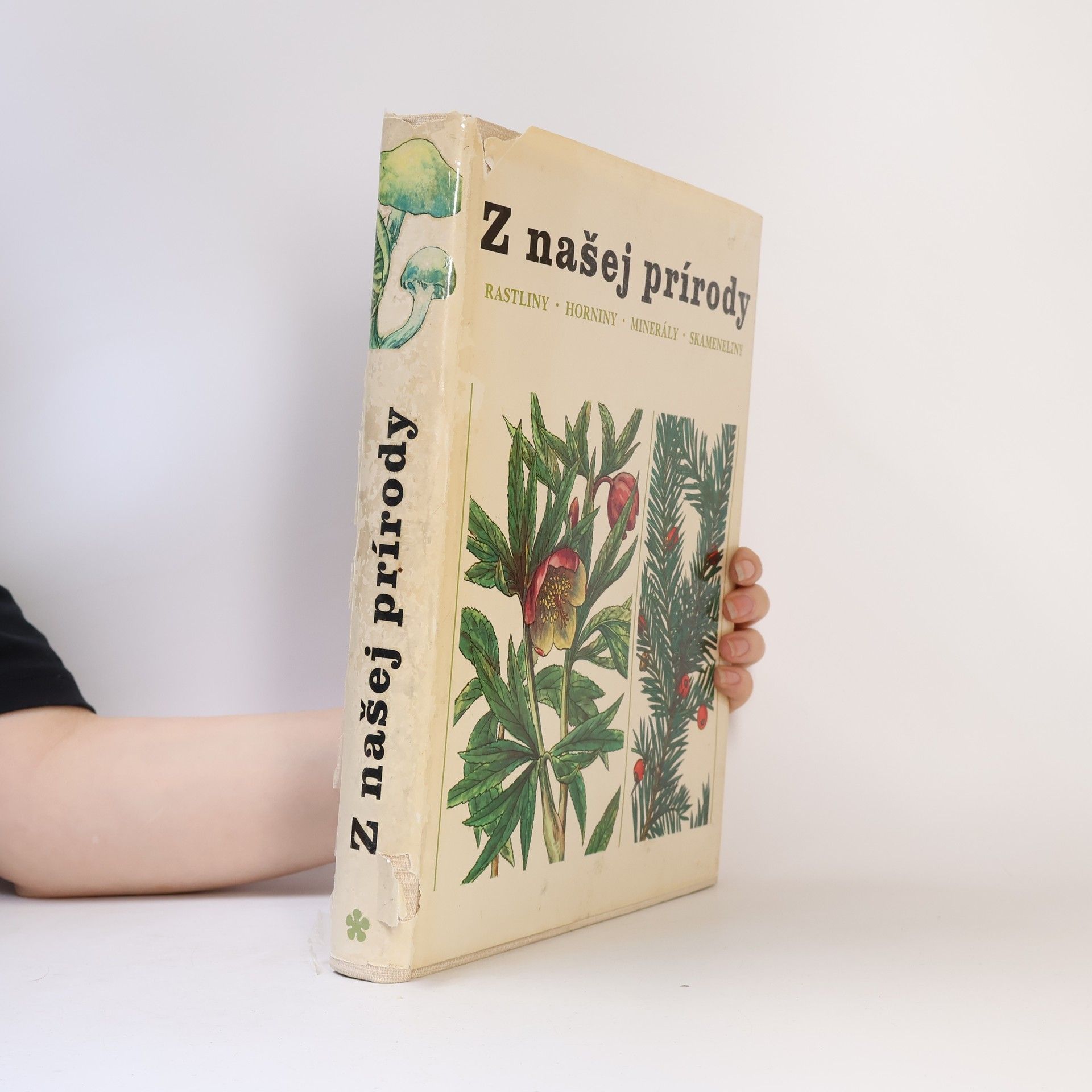 Jindřich Krejča Z našej prírody