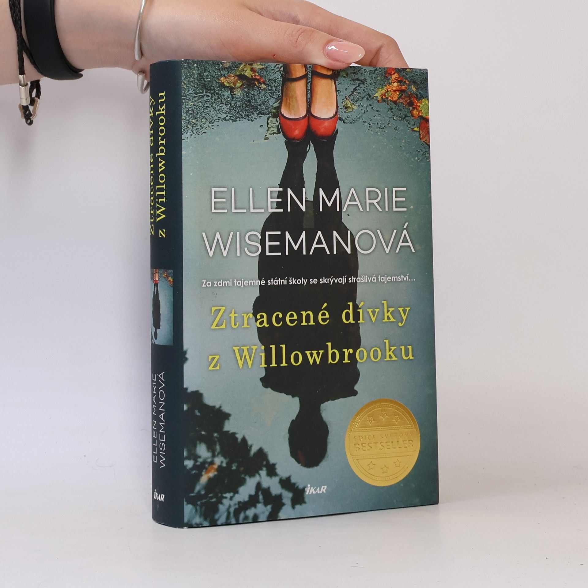 Ellen Marie Wiseman Ztracené dívky z Willowbrooku
