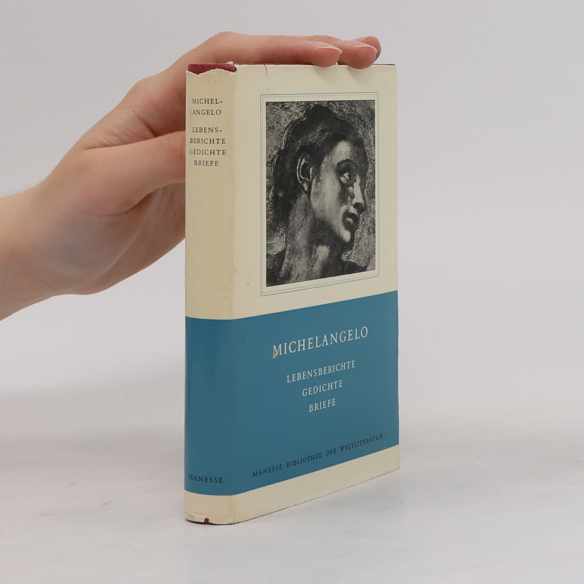 Michelangelo Lebensberichte Gedichte Briefe