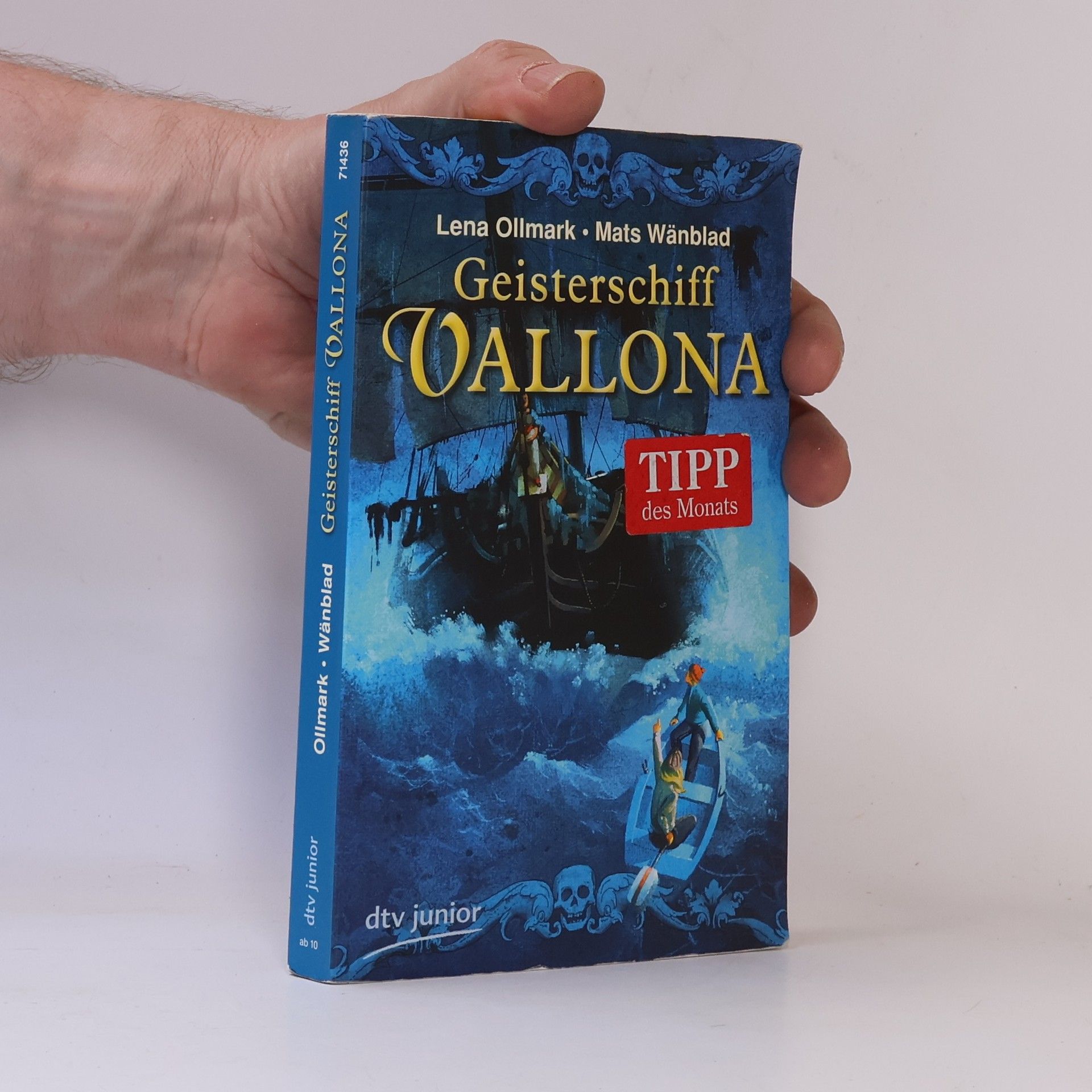 Lena Ollmark Geisterschiff Vallona