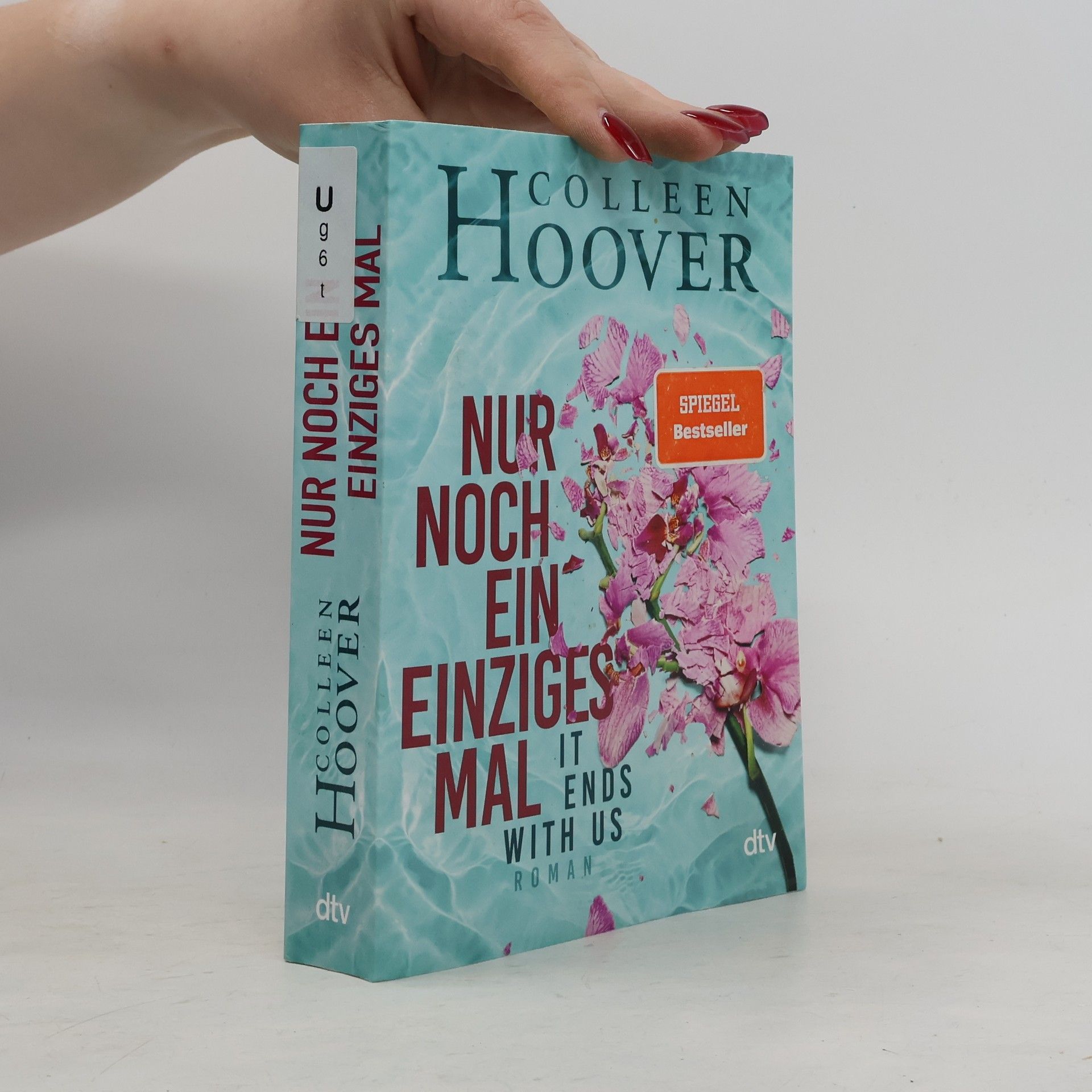 Colleen Hoover Nur noch ein einziges Mal