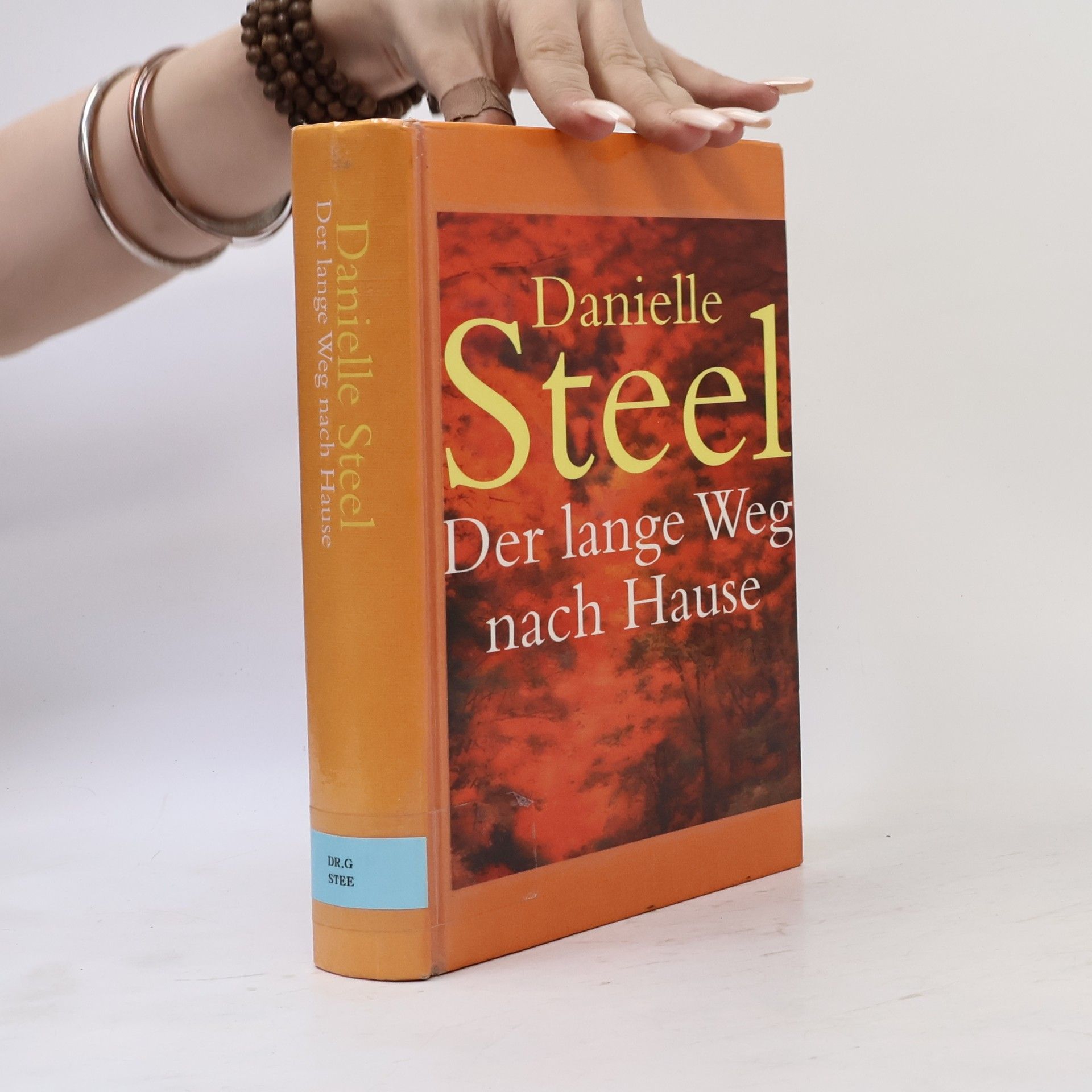Danielle Steel Der lange Weg nach Hause