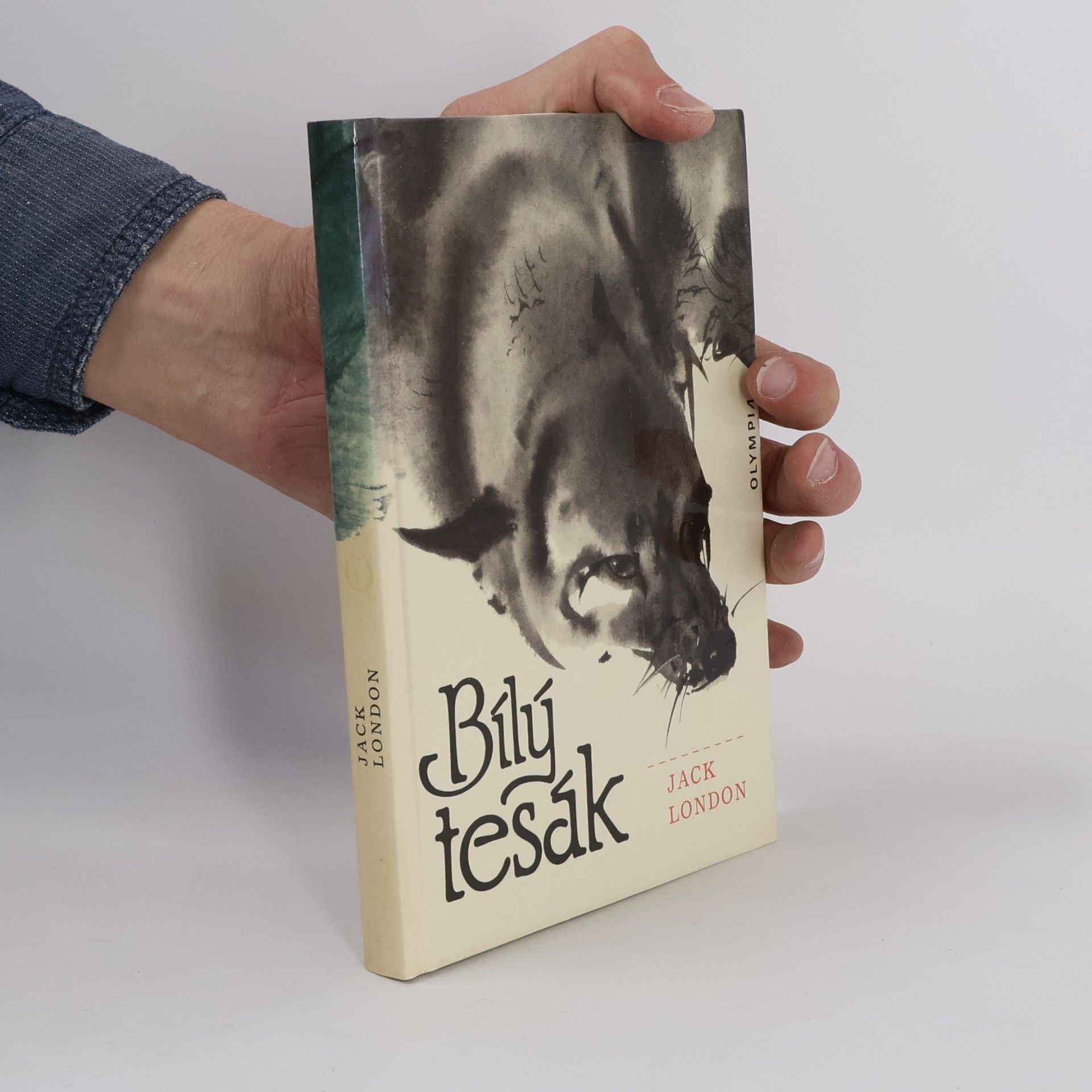 Bílý tesák