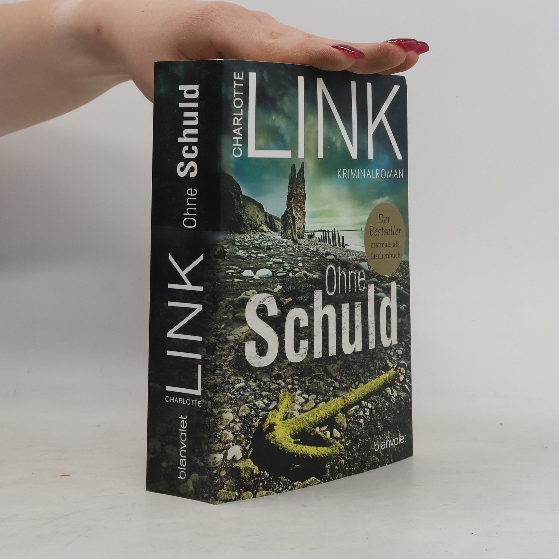Charlotte Link Ohne Schuld