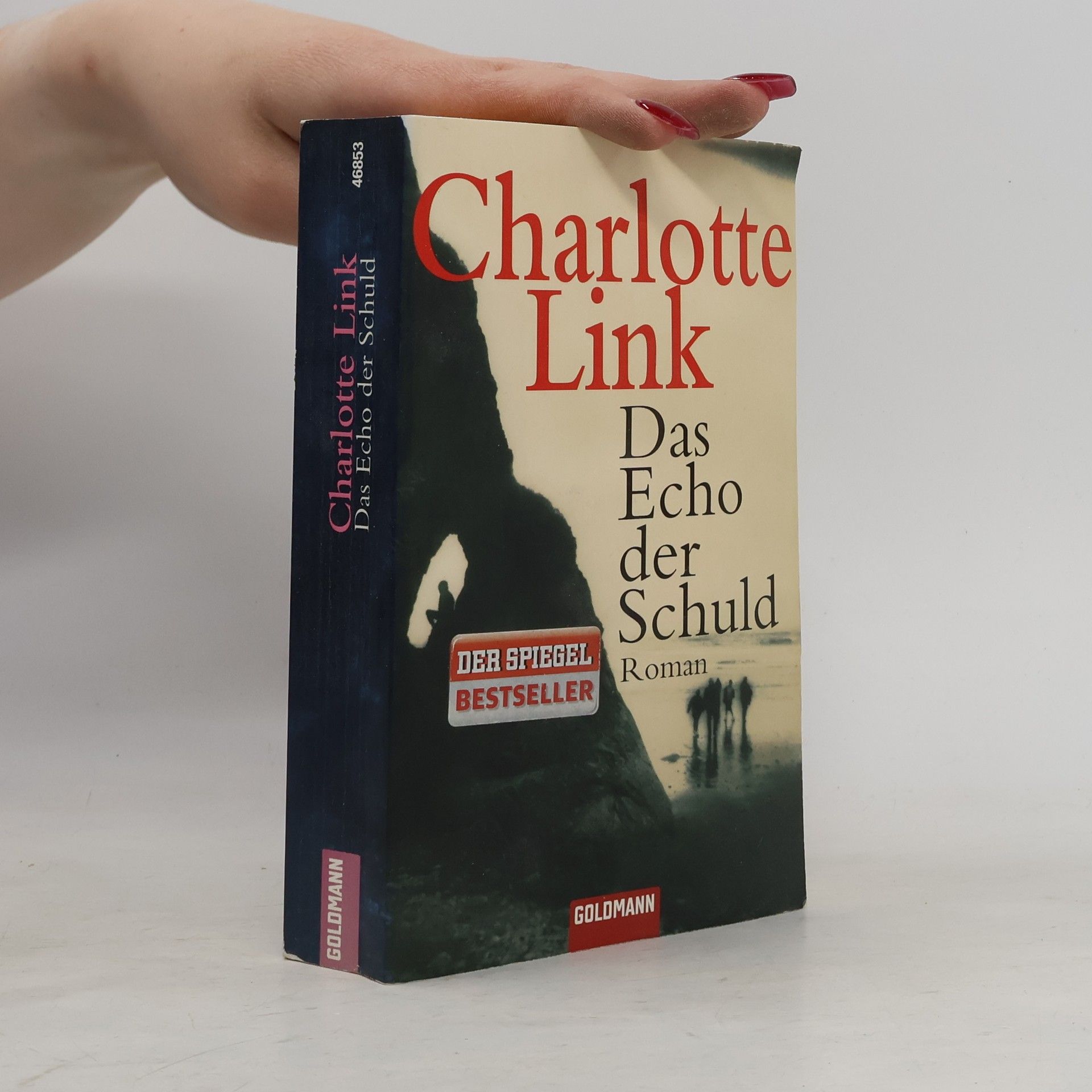 Charlotte Link Das Echo der Schuld
