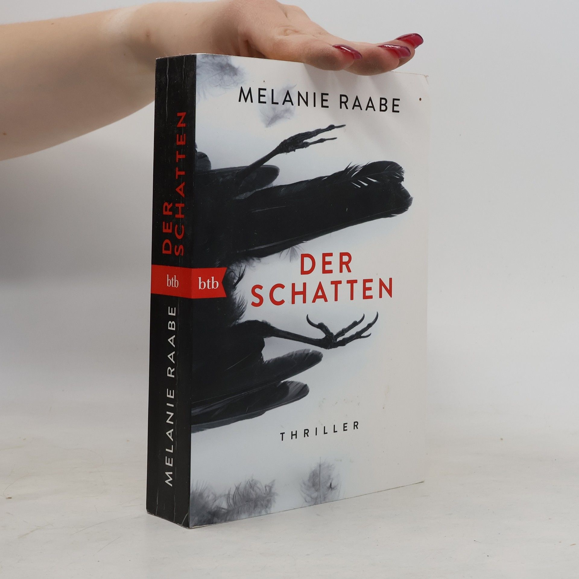 Melanie Raabe Der Schatten