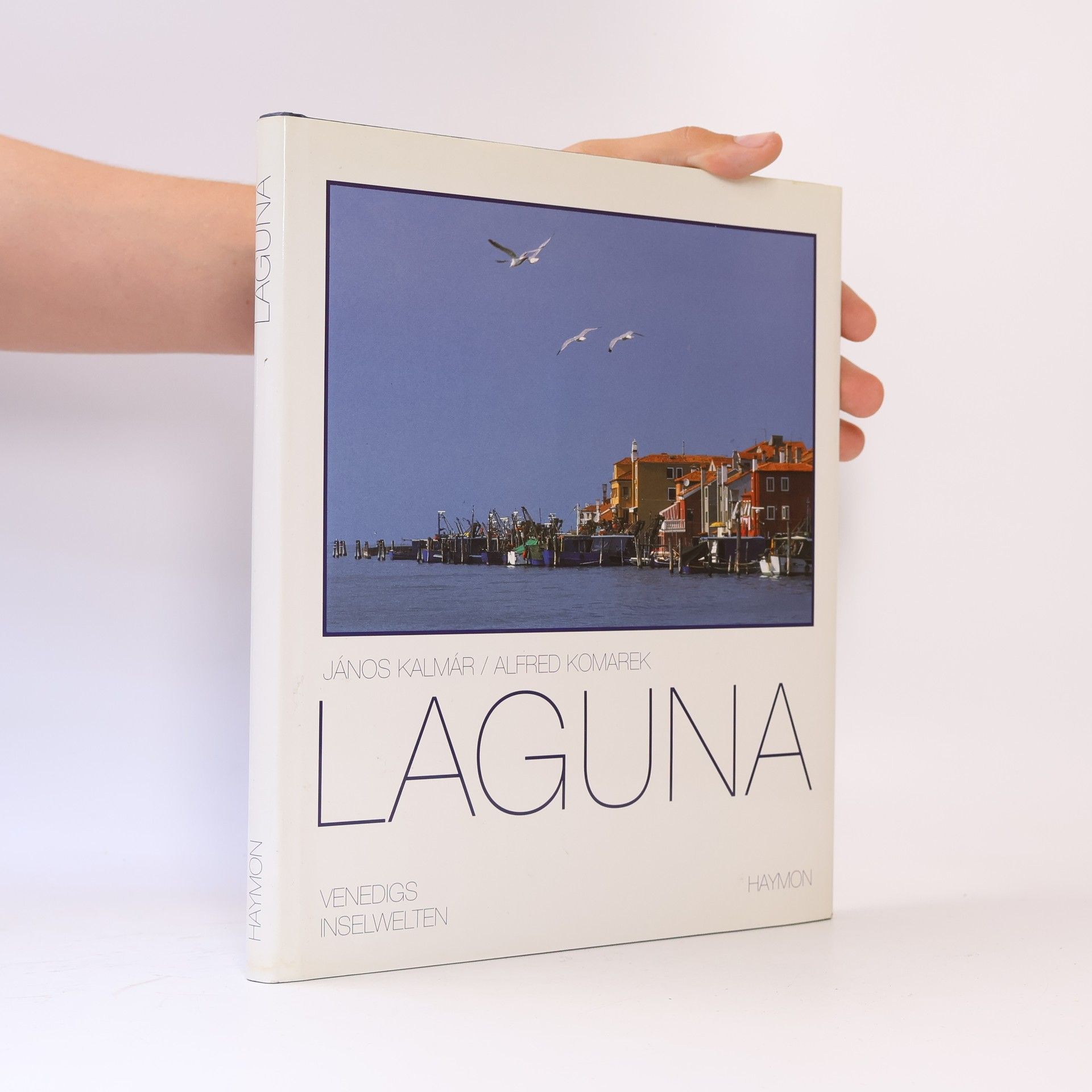 Laguna