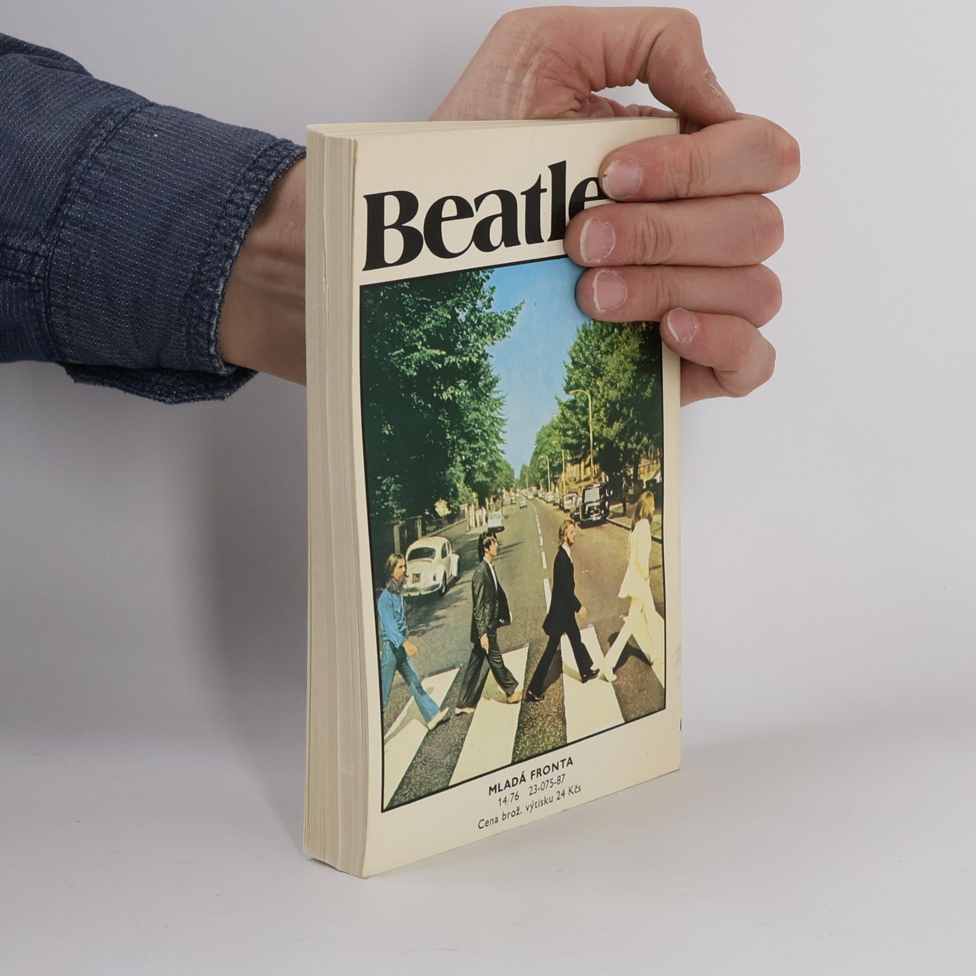 Antonín Matzner Beatles