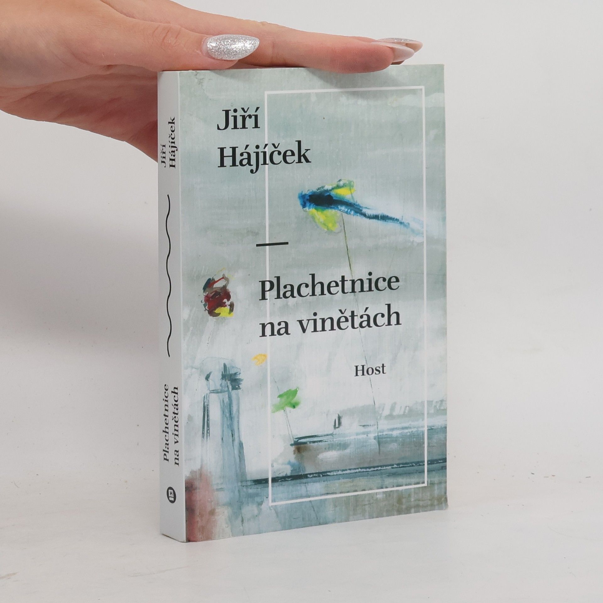 Jiří Hájíček Plachetnice na vinětách