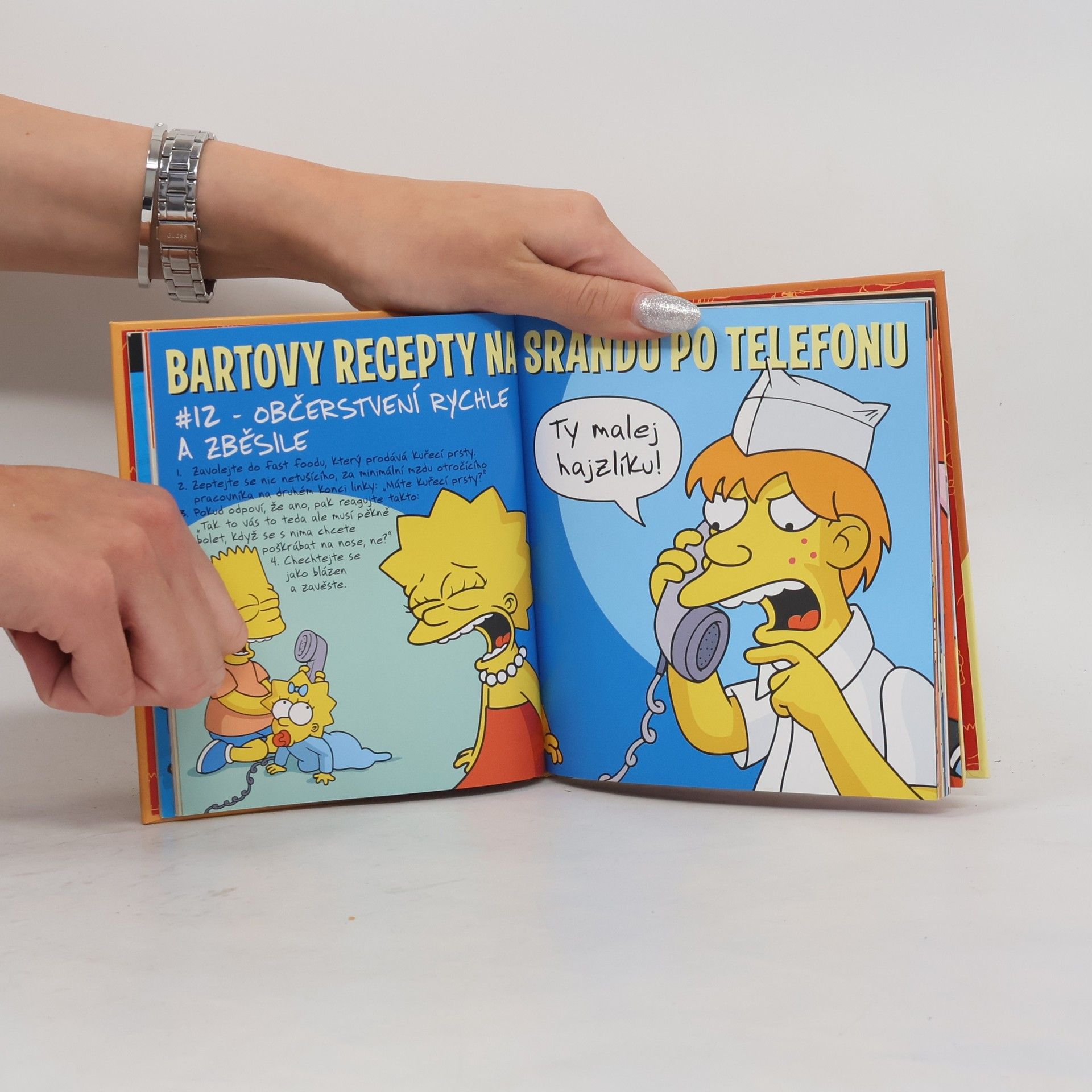 Matt Groening Bartova kniha